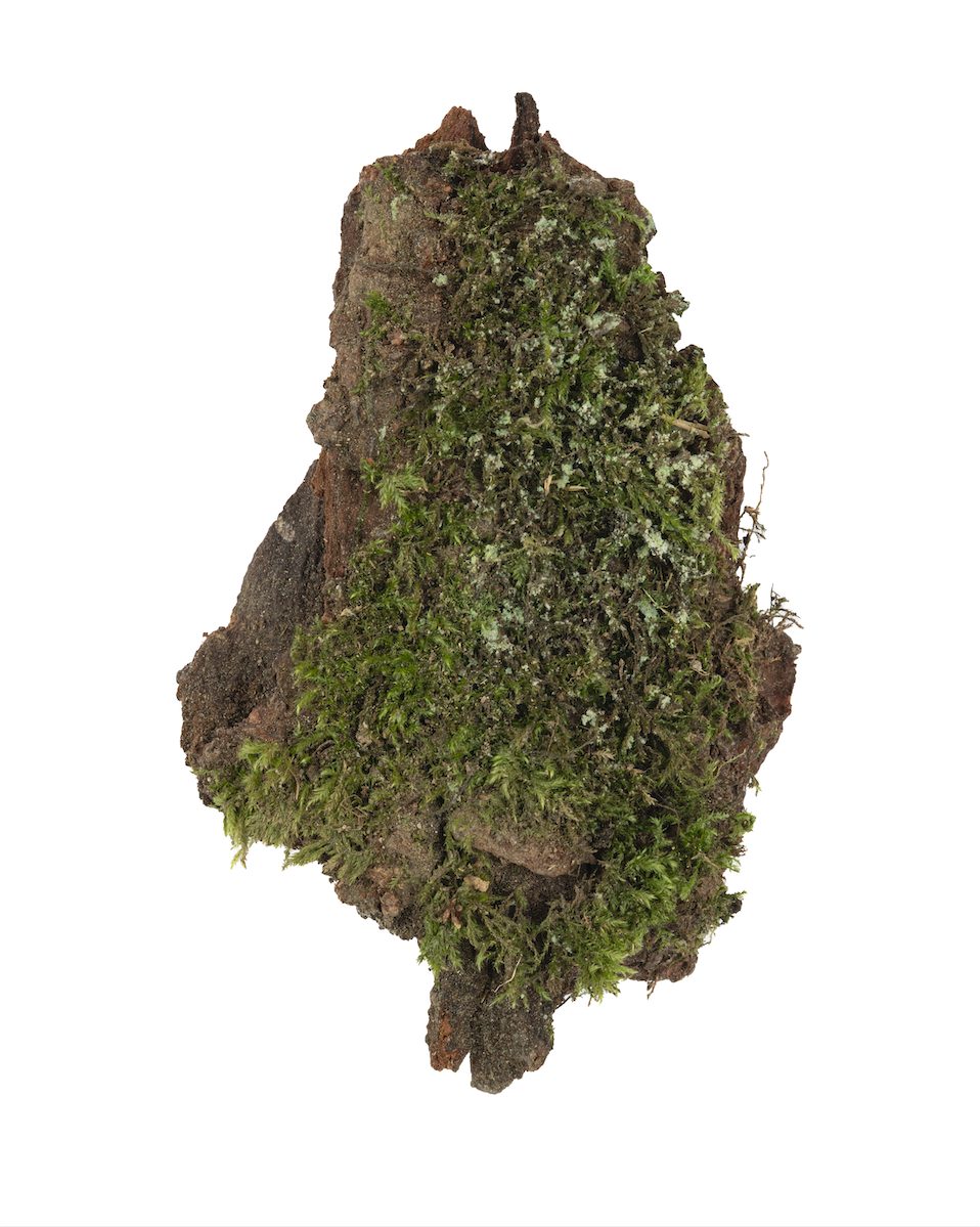 Screenshot 2026-04-30 at 11.16.56.png