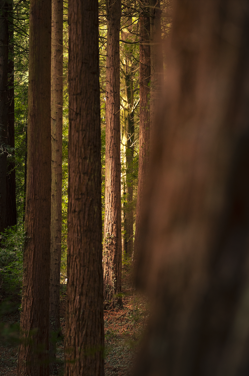 Screenshot 2026-04-30 at 12.09.37.png