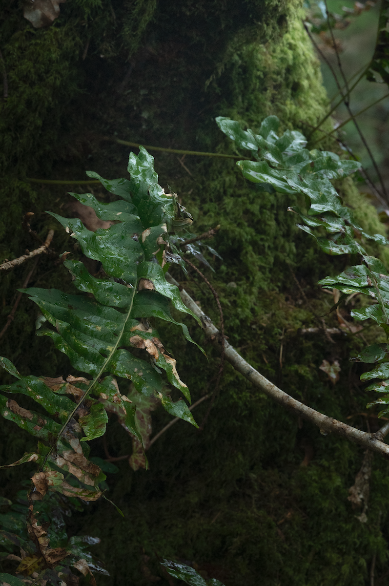 Screenshot 2026-04-30 at 12.42.19.png