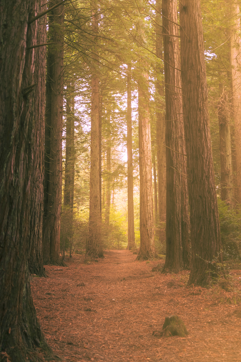 Screenshot 2026-04-30 at 12.11.01.png