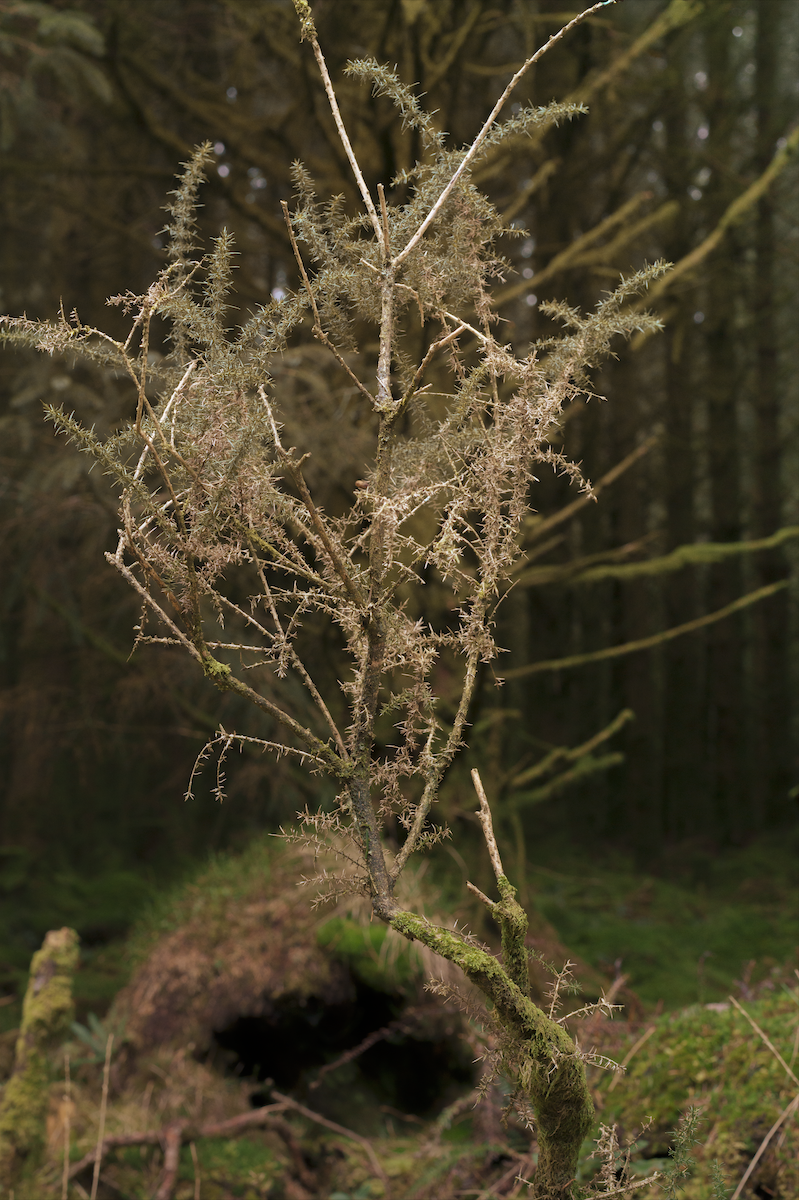 Screenshot 2026-04-30 at 12.59.10.png