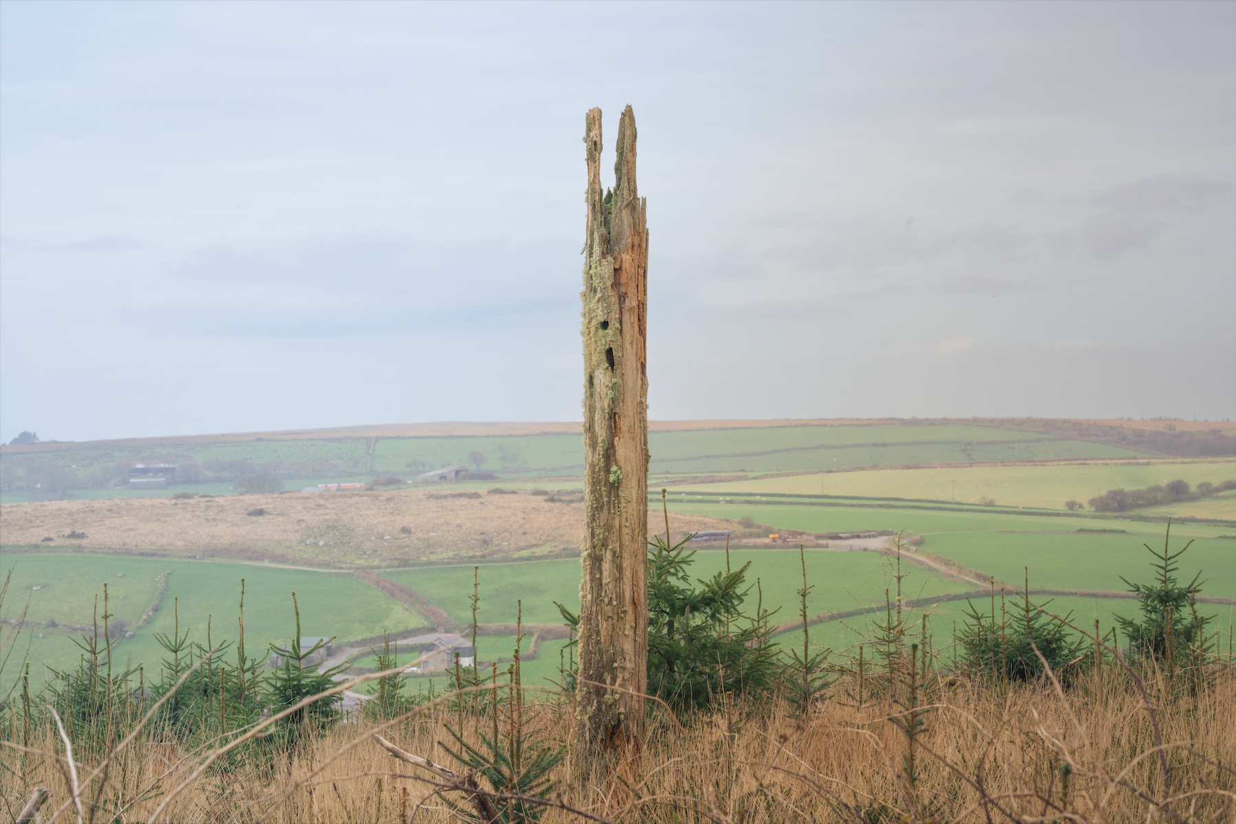 Screenshot 2026-04-30 at 12.54.26.png