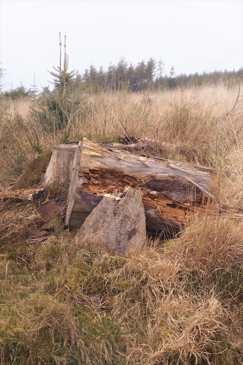 Screenshot 2026-04-30 at 12.54.03.png