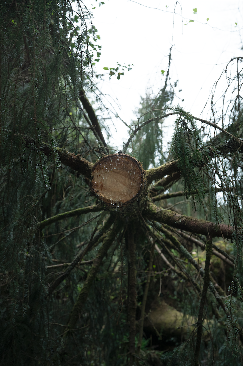 Screenshot 2026-04-30 at 12.40.31.png