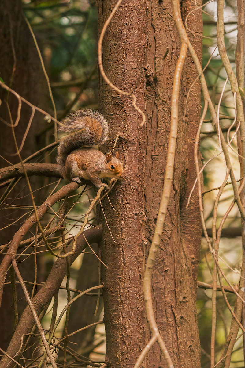 Screenshot 2026-04-30 at 12.11.23.png