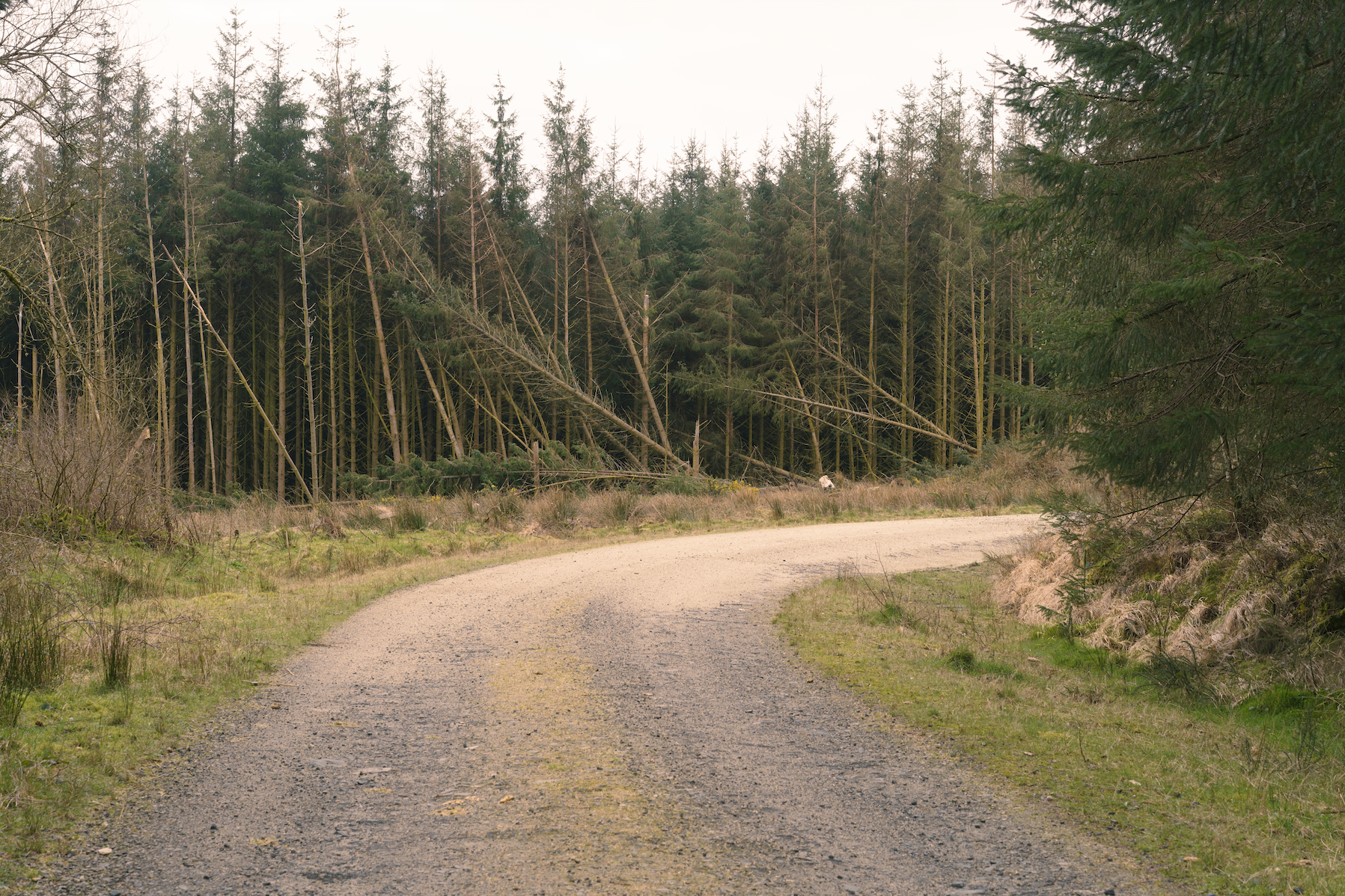 Screenshot 2026-03-17 at 16.11.59.png