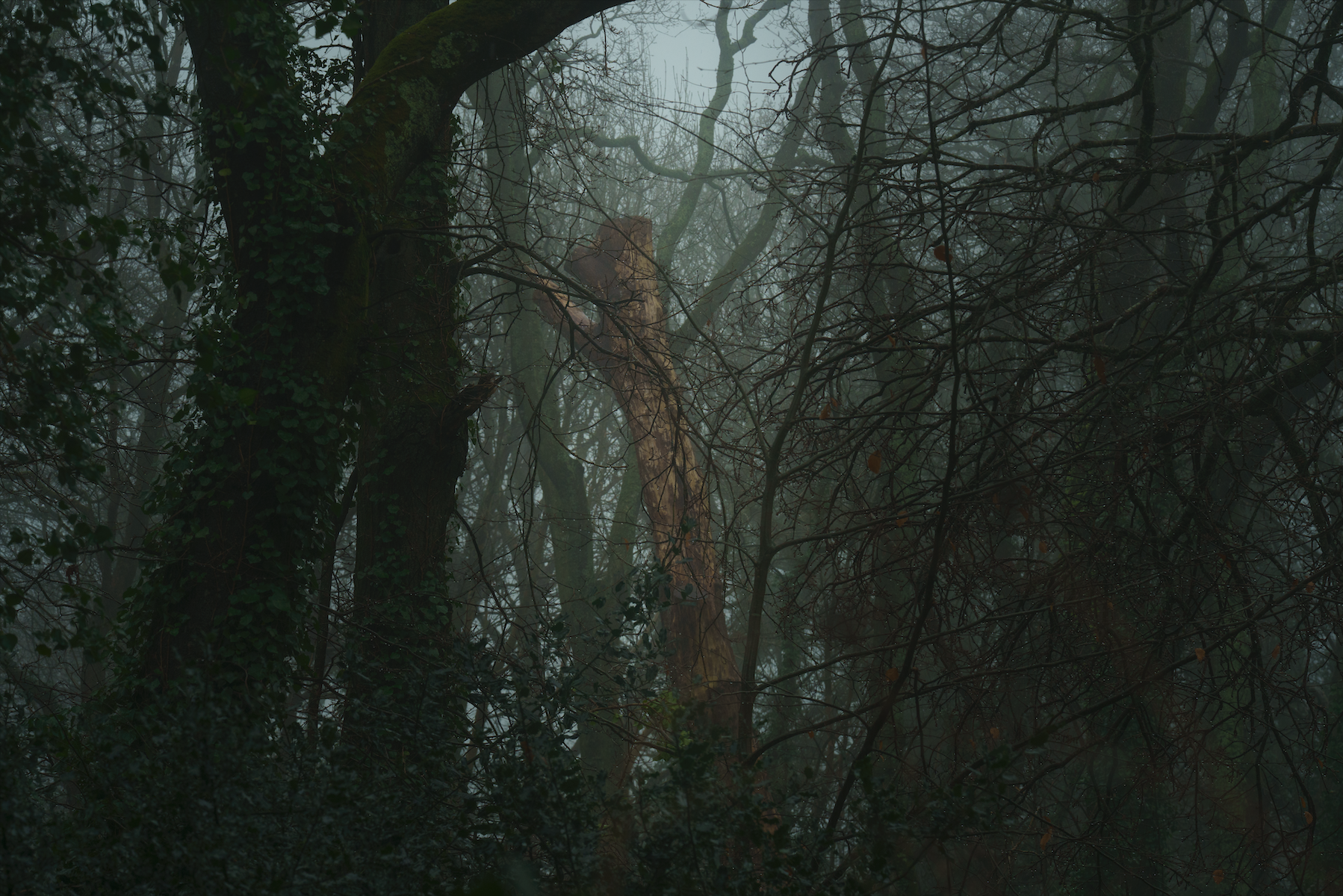 Screenshot 2026-04-30 at 12.22.55.png