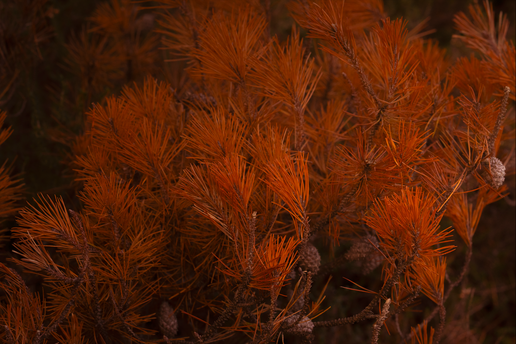 Screenshot 2026-04-30 at 11.50.07.png