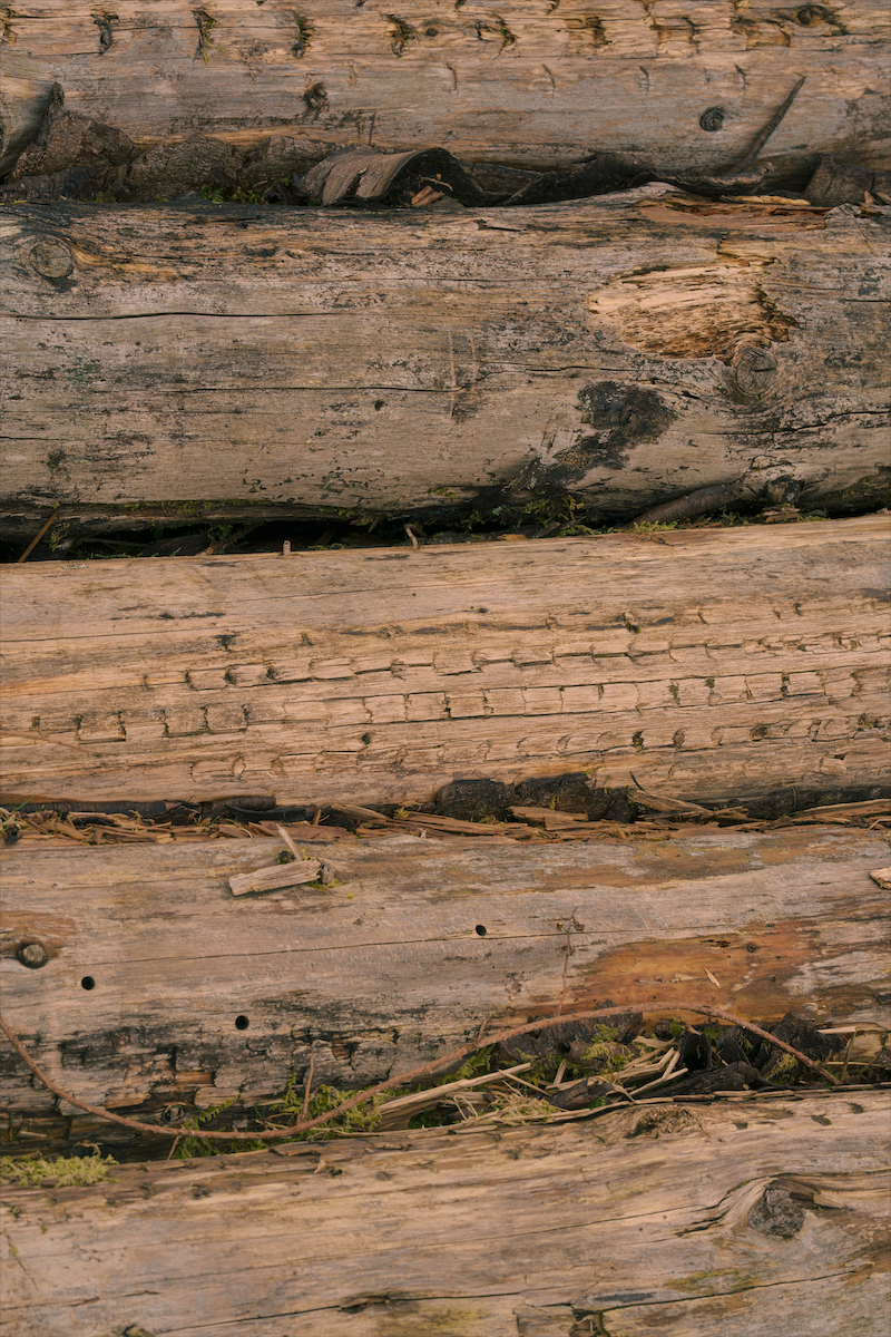 Screenshot 2026-04-30 at 12.54.49.png