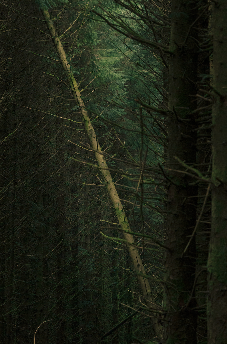 Screenshot 2026-04-30 at 13.01.09.png