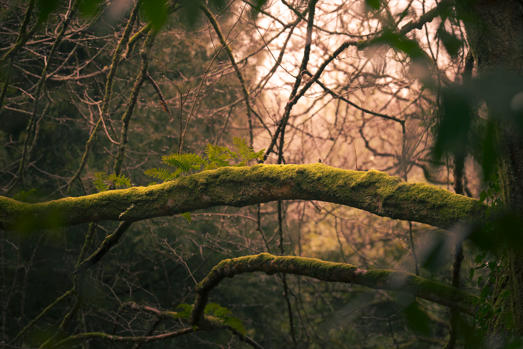 Screenshot 2026-04-30 at 12.30.24.png