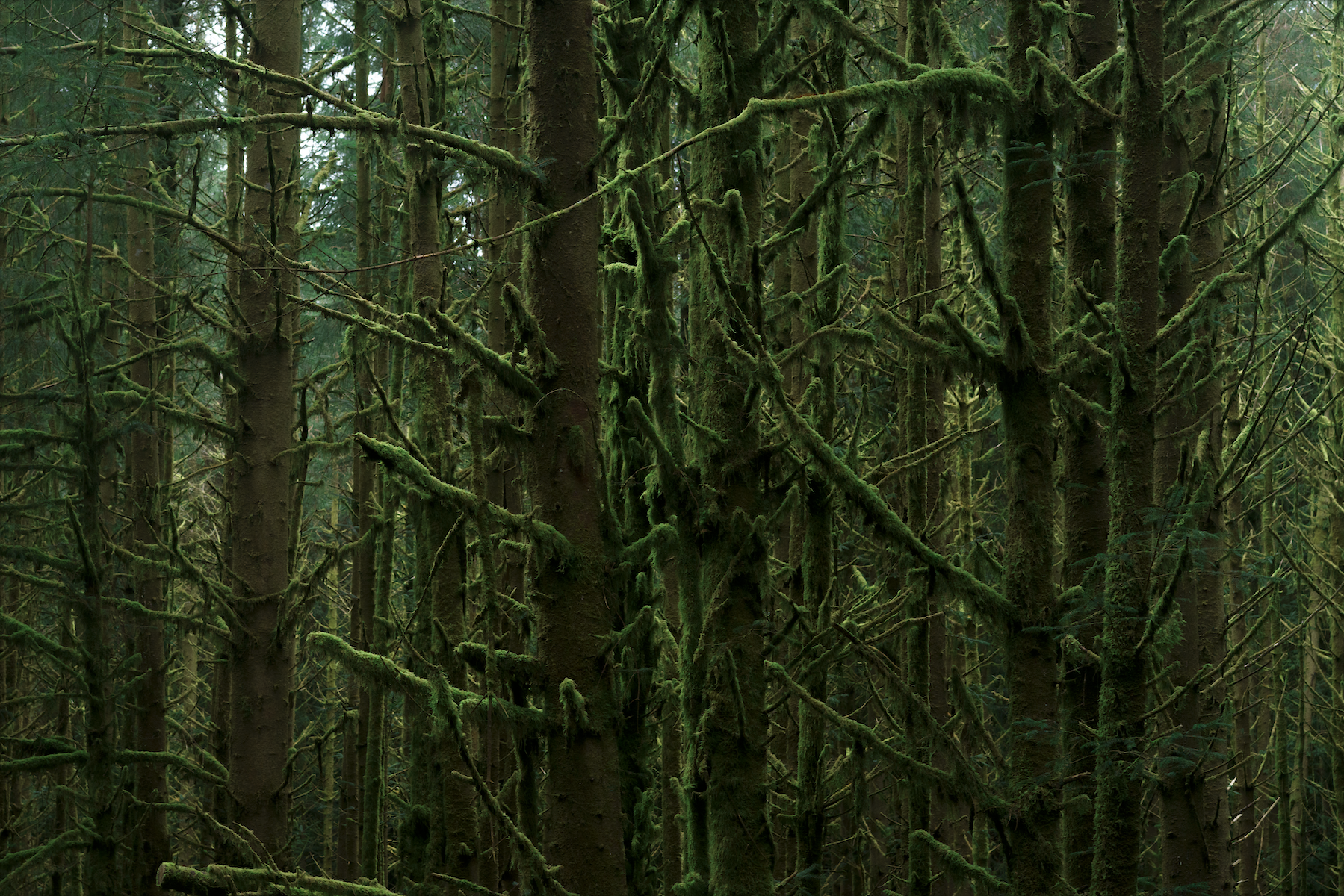 Screenshot 2026-04-30 at 12.59.26.png