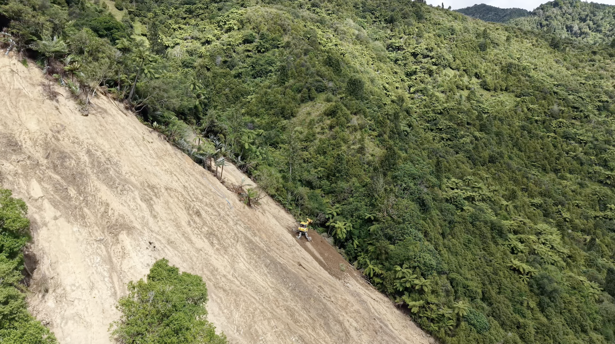 Forestry and Remote Access