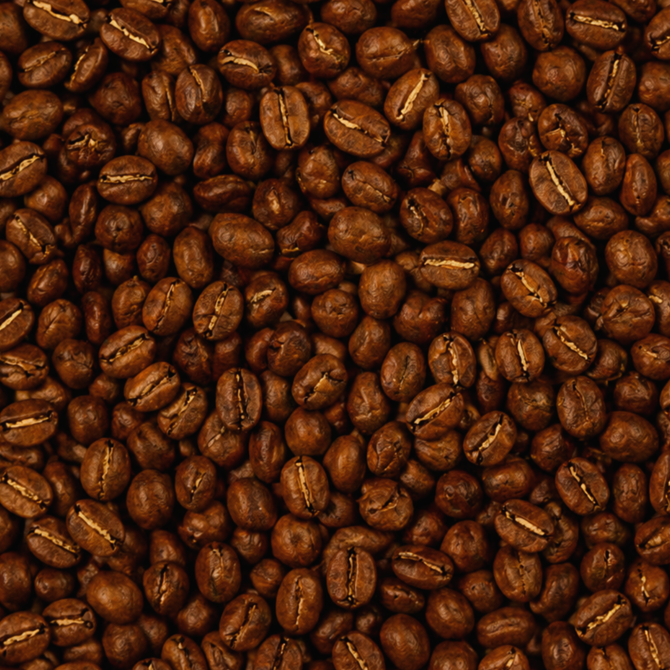 Close-up of roasted coffee beans.