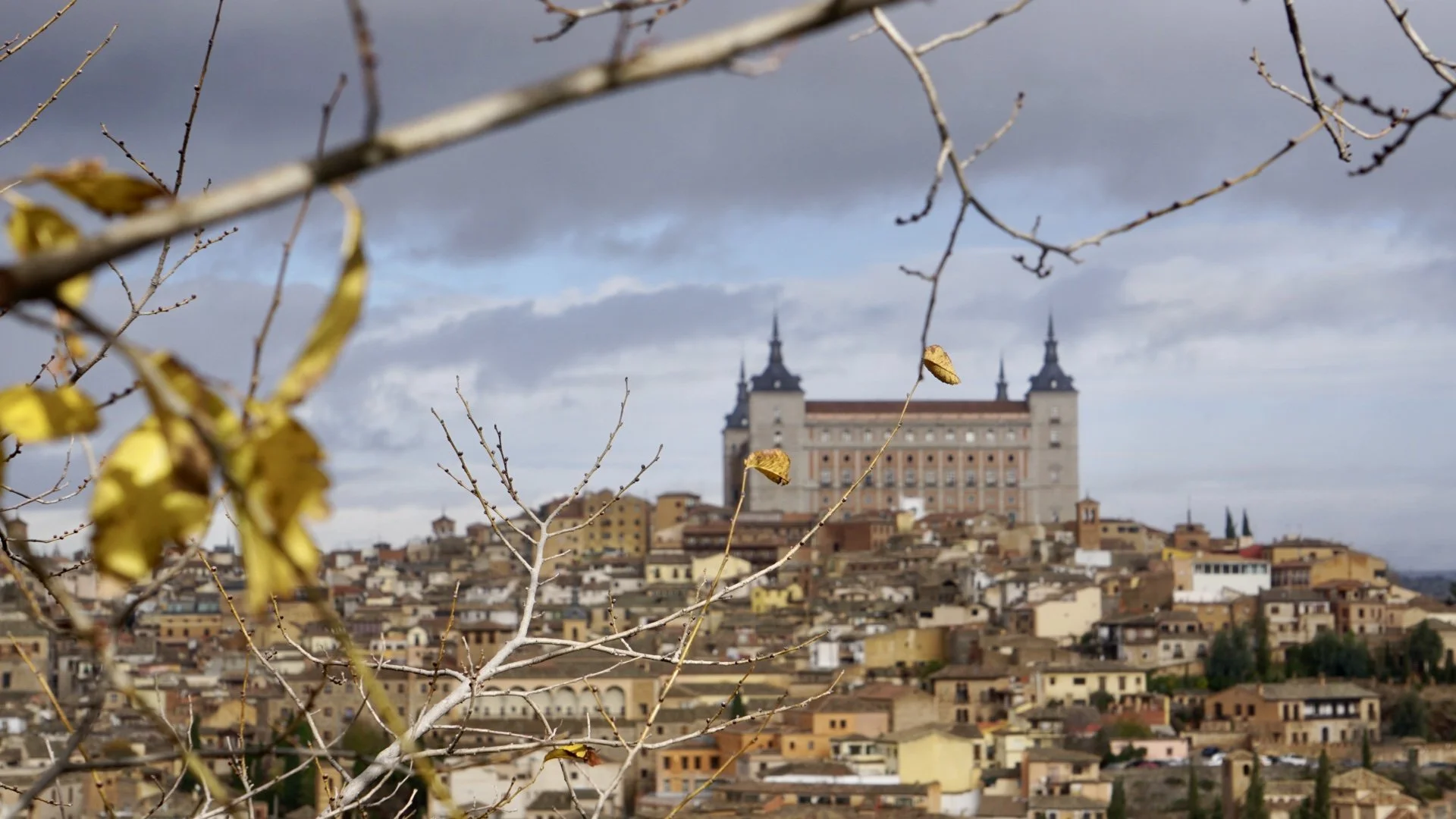 Cityscape of a historic town with a large castle or palace on a hilltop, seen through a foreground of bare tree branches with some yellowing leaves.