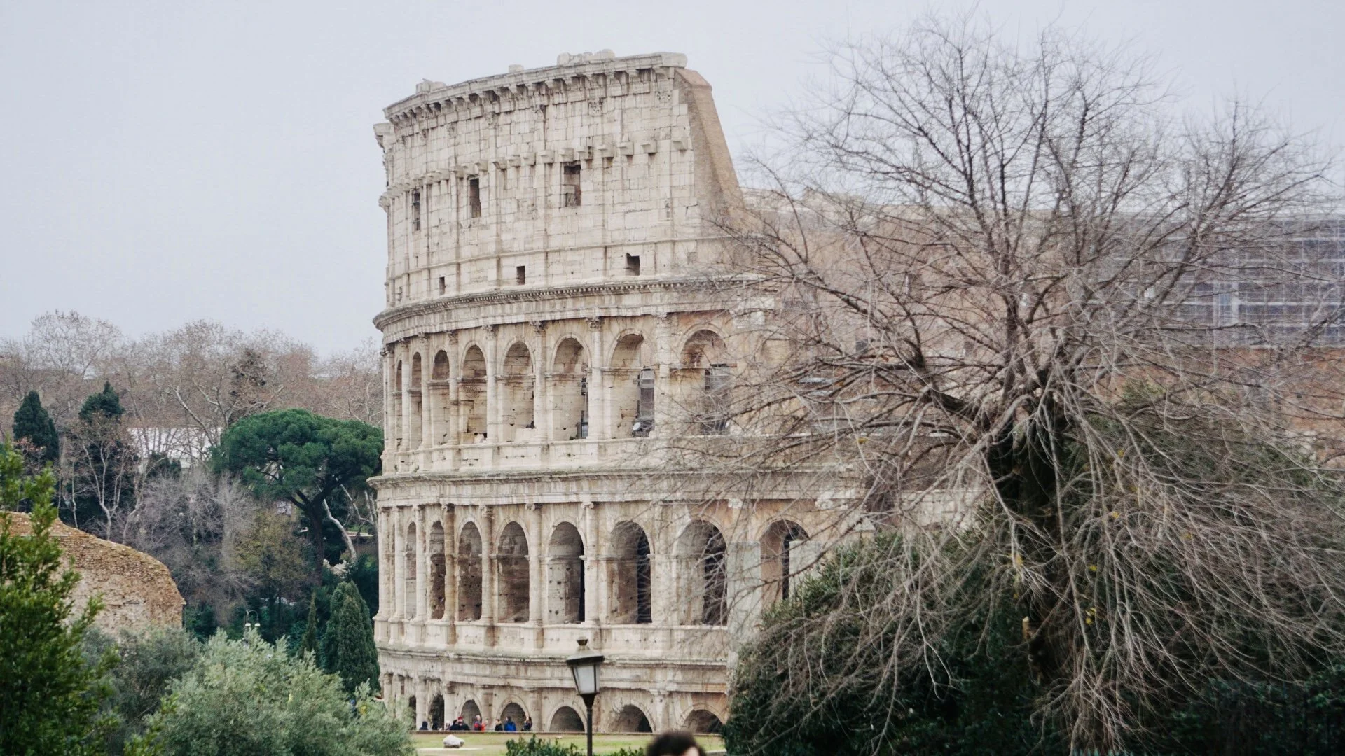 The Roman Colosseum, partially obscured by leafless trees, situated in a park with some greenery and a few people sitting near the base.