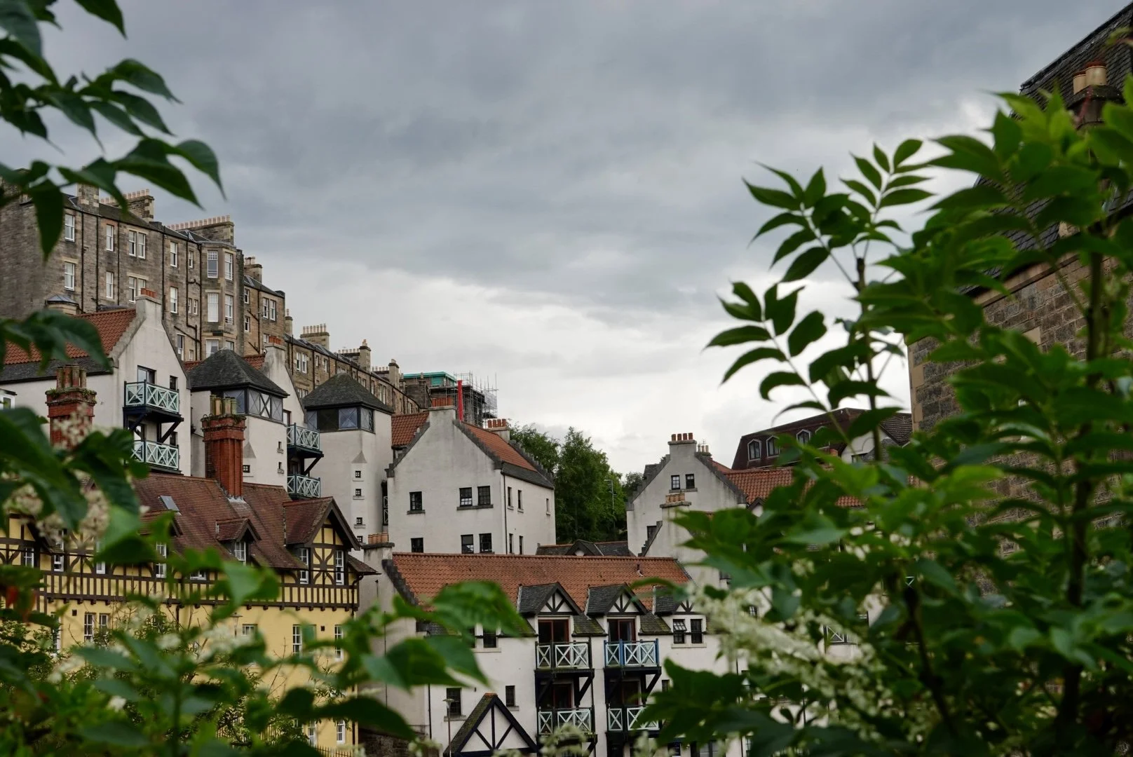 View of a hillside with various traditional houses and apartment buildings in Edinburgh, Scotland, with dark gray clouds overhead, partially framed by green foliage in the foreground.