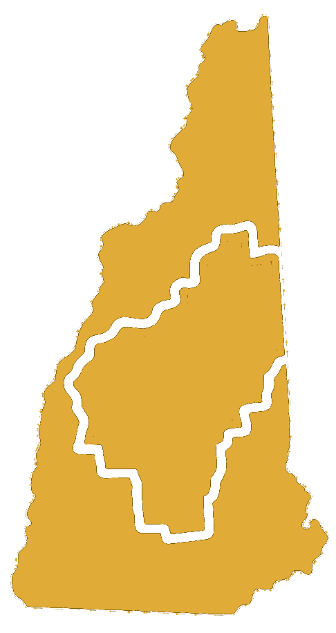 Outline of the state of New Hampshire with a black border and a tan fill.