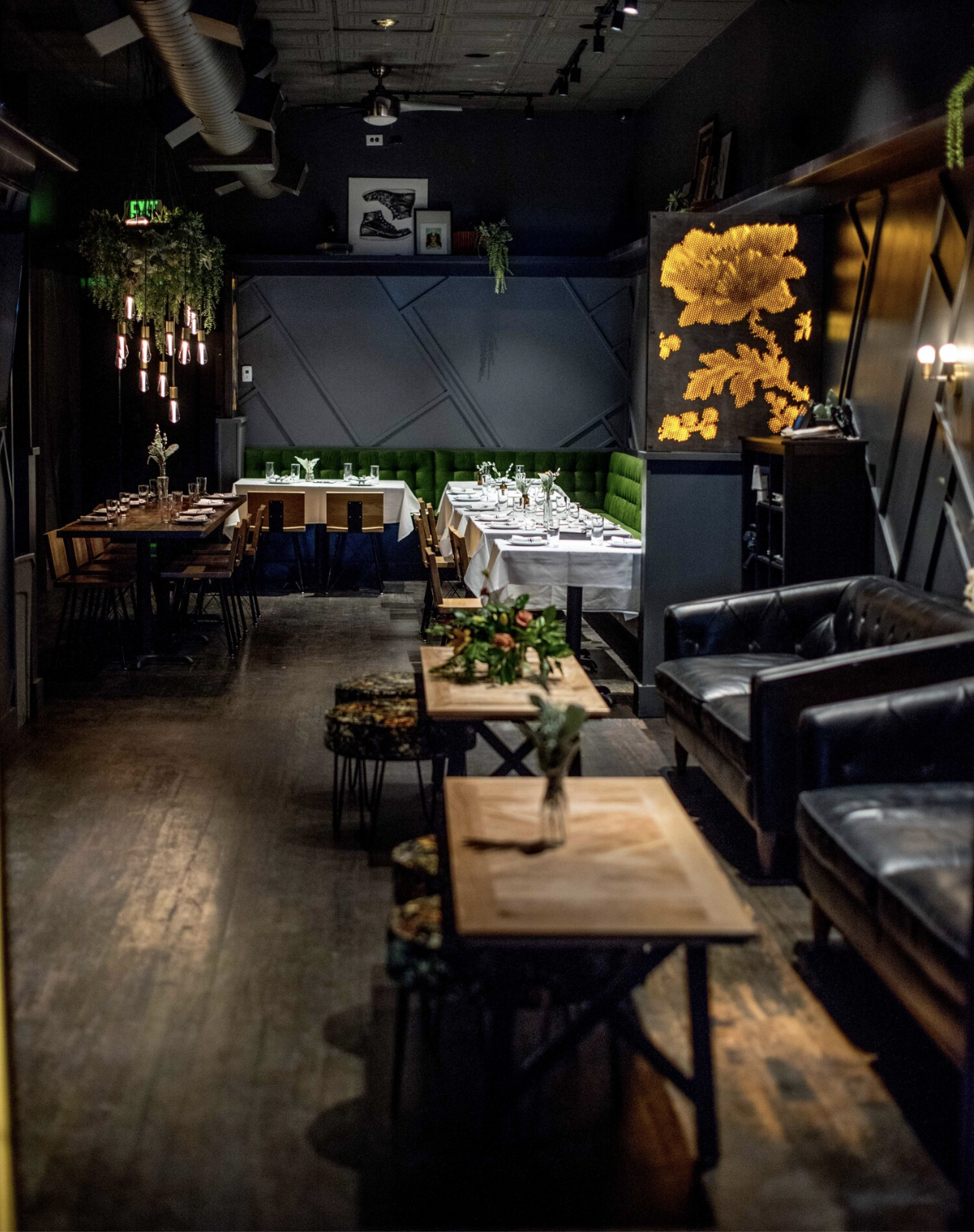 Screen Shot 2025-02-10 at 4.24.22 PM.png