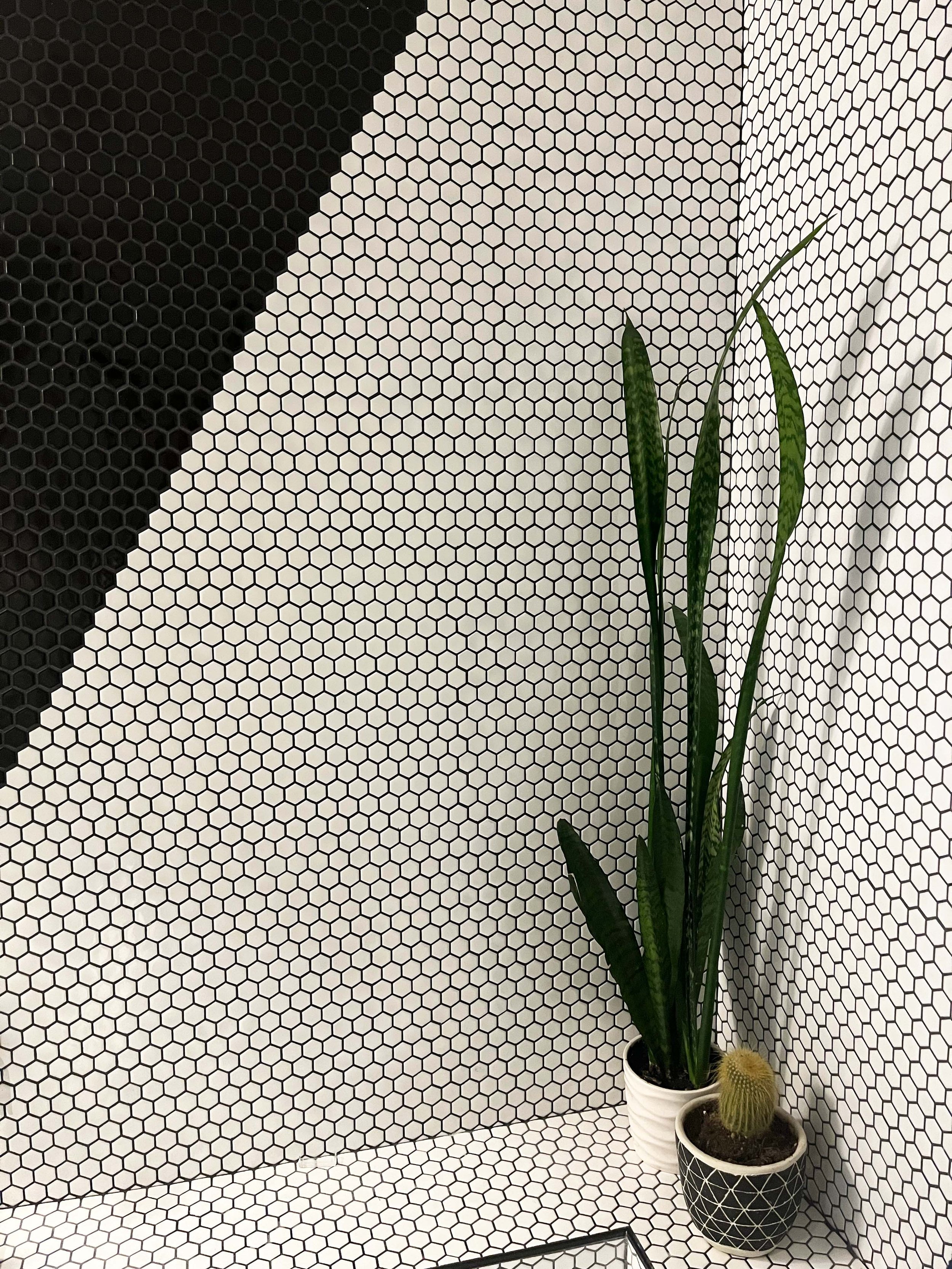 Bennett- Main Level Bath Plant.jpg