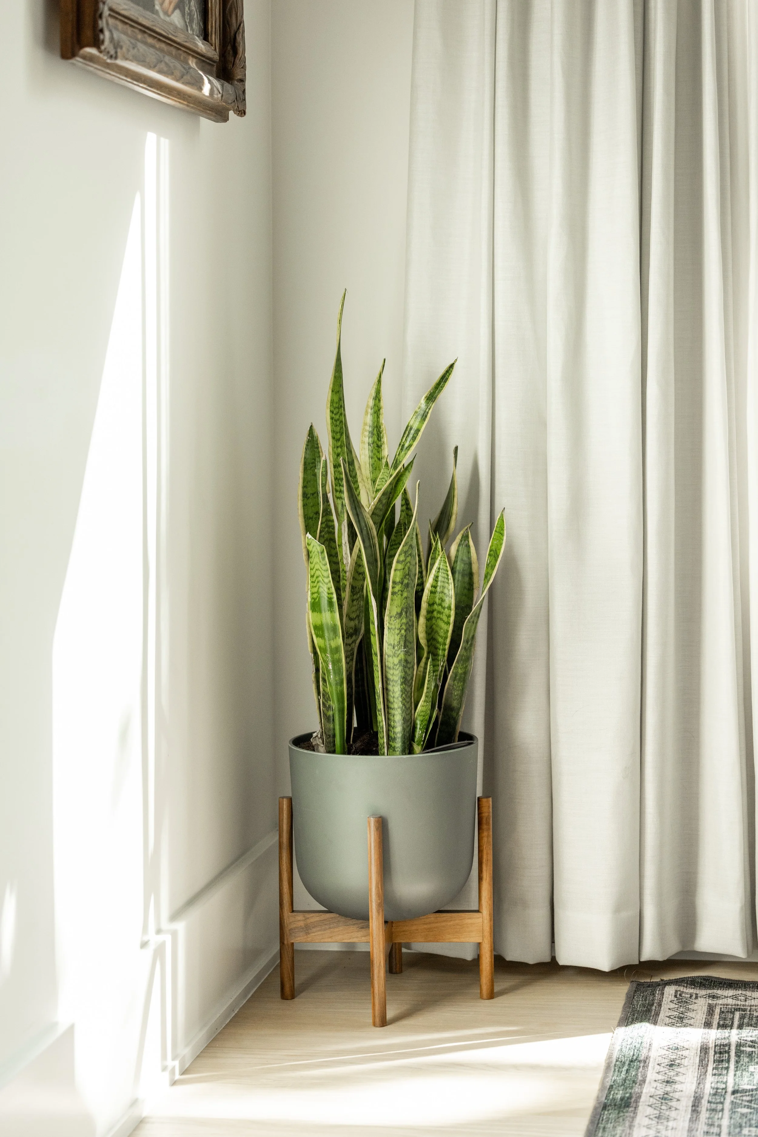 LivingDetail3.jpg