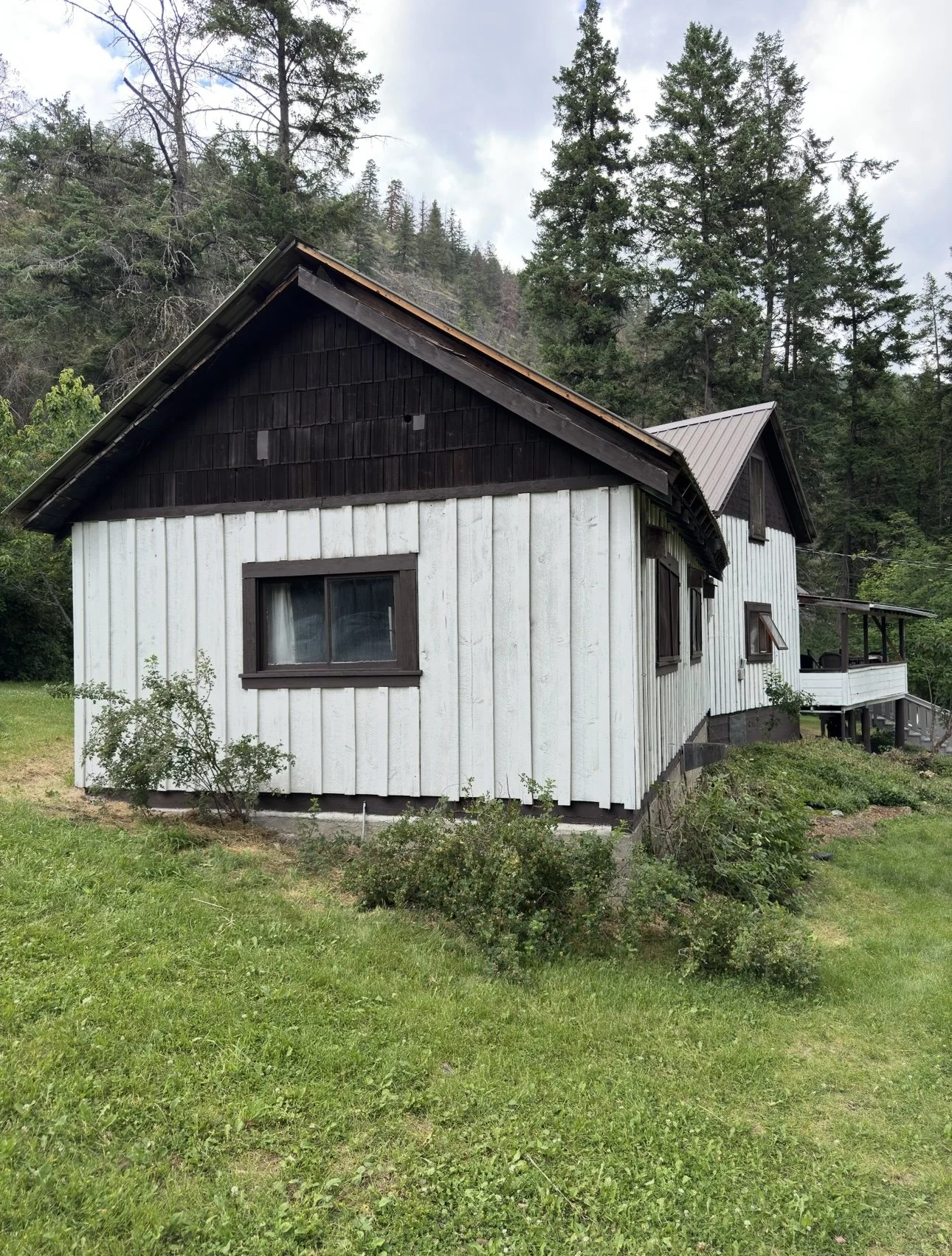 A house with white vertical siding and dark brown trim, surrounded by green grass and bushes, with a forested hill and cloudy sky in the background.
