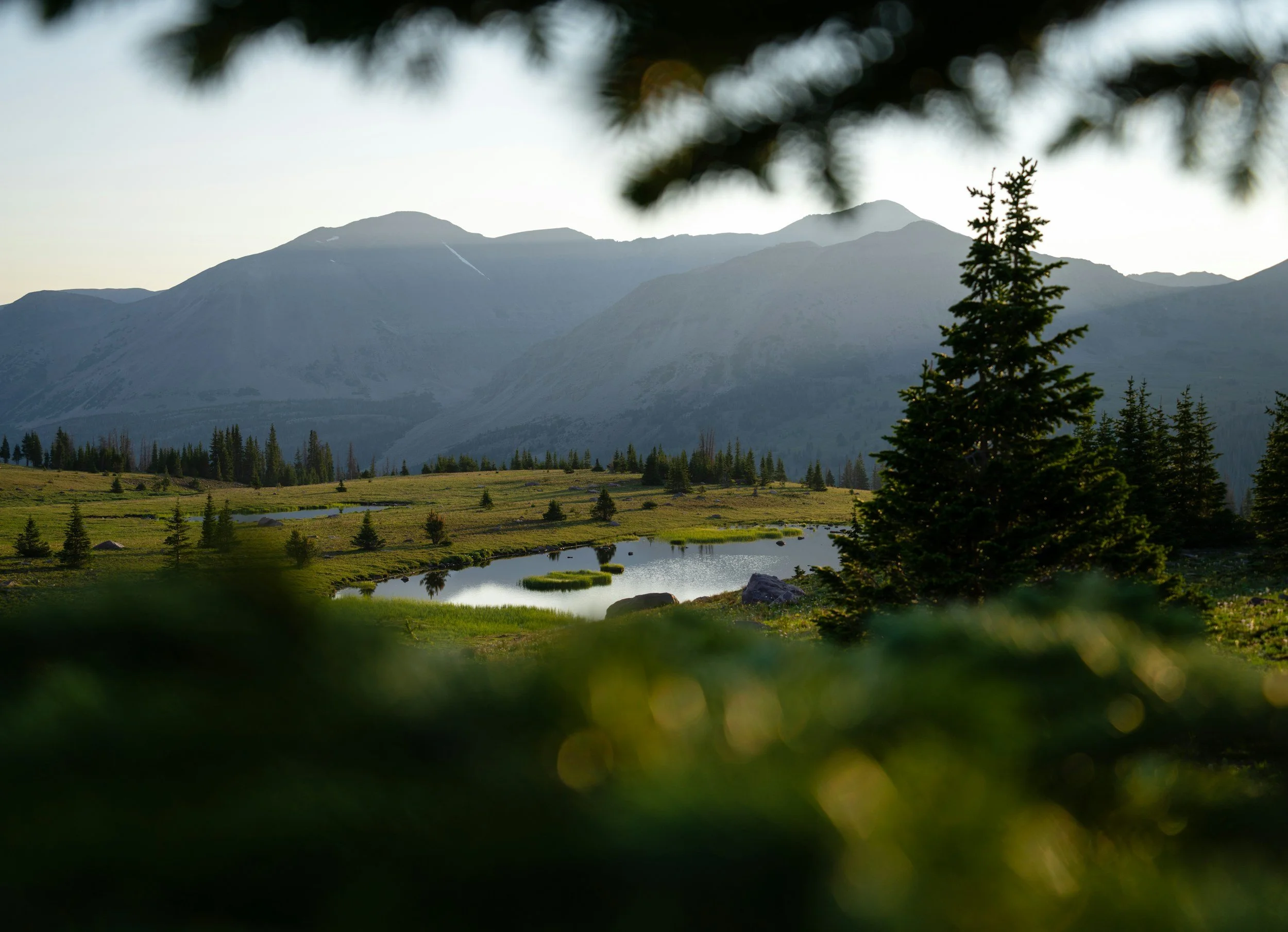Public Lands Are Worth Far More Than the Price Tag of a Sale