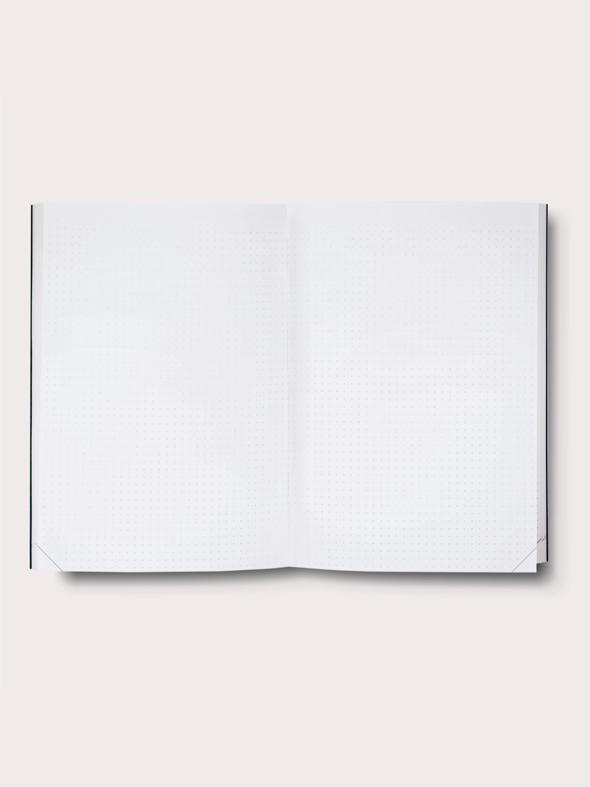 Untitled design (25).png
