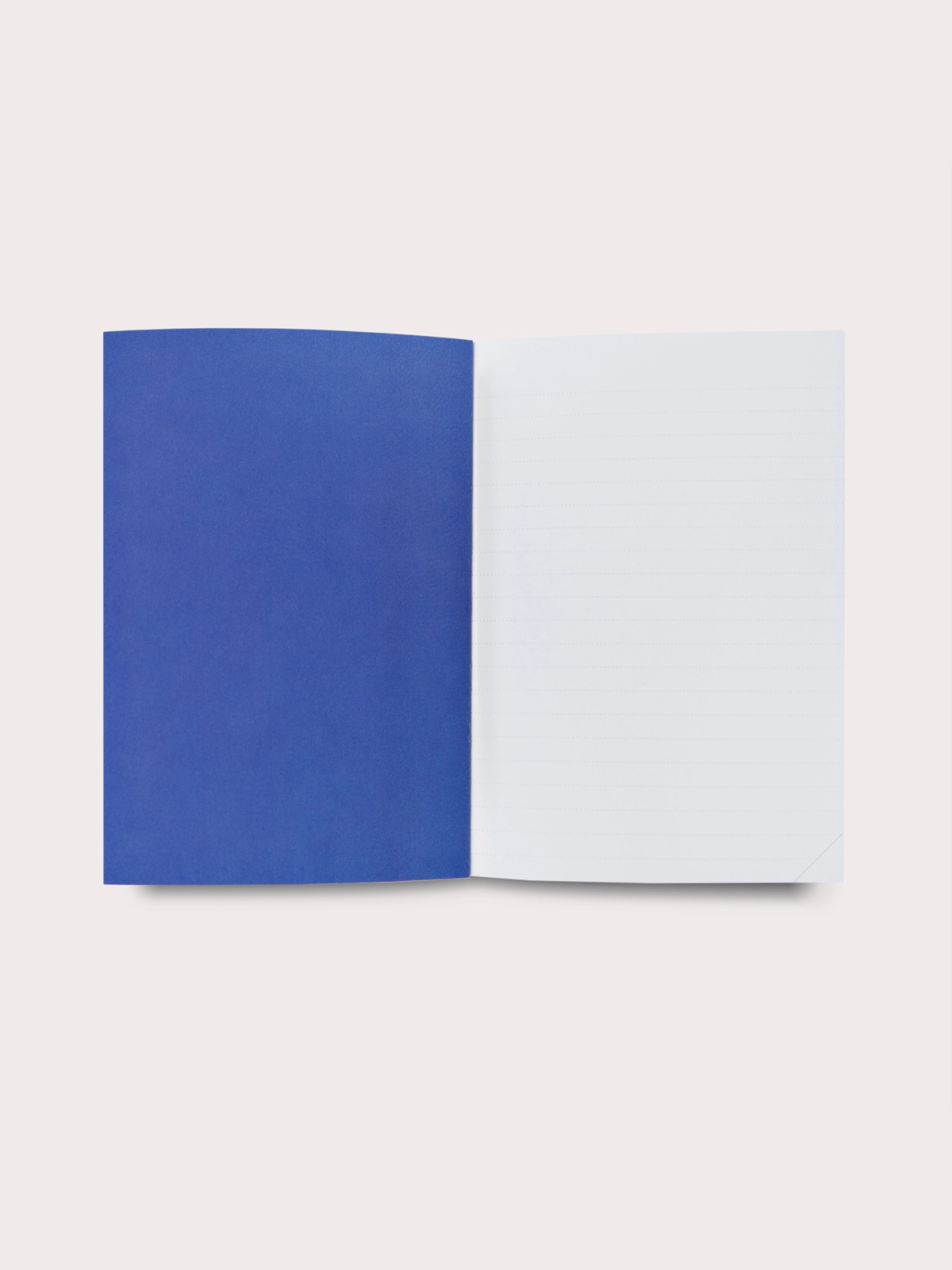 Untitled design (21).png