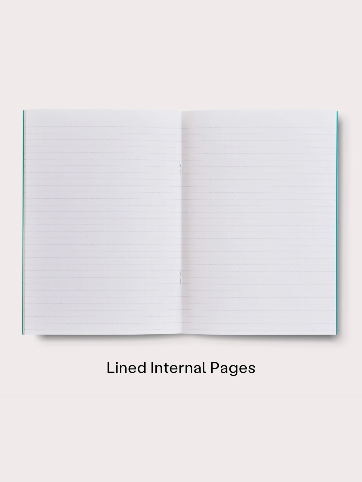 Untitled design (2).png (Copy) (Copy)