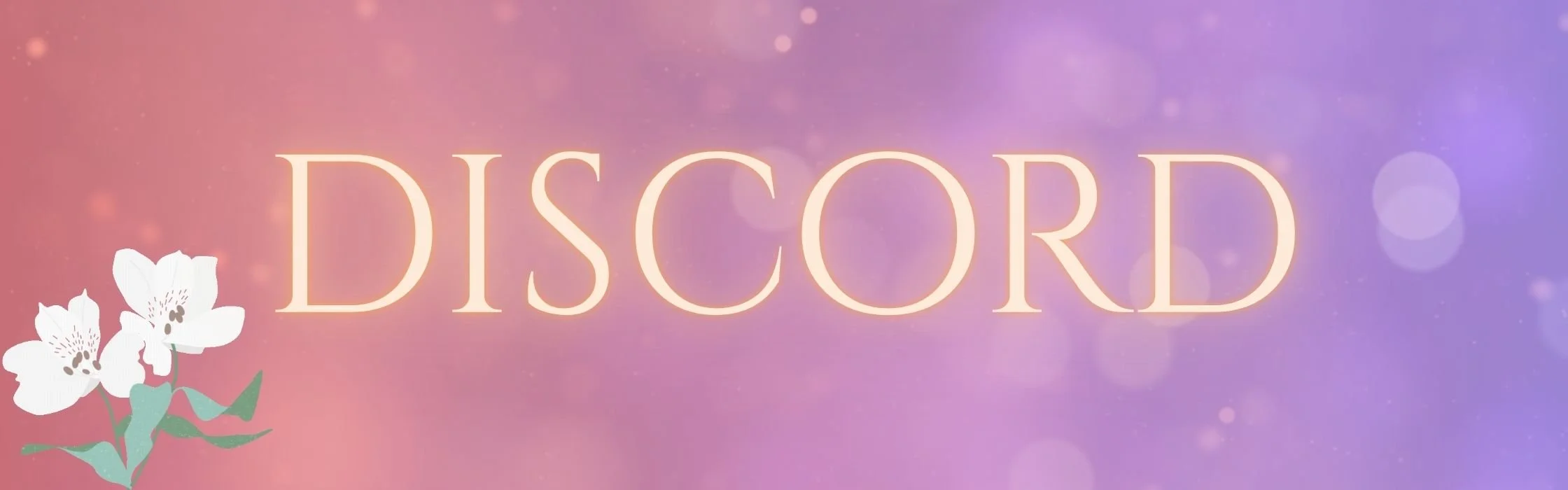 discord.jpg