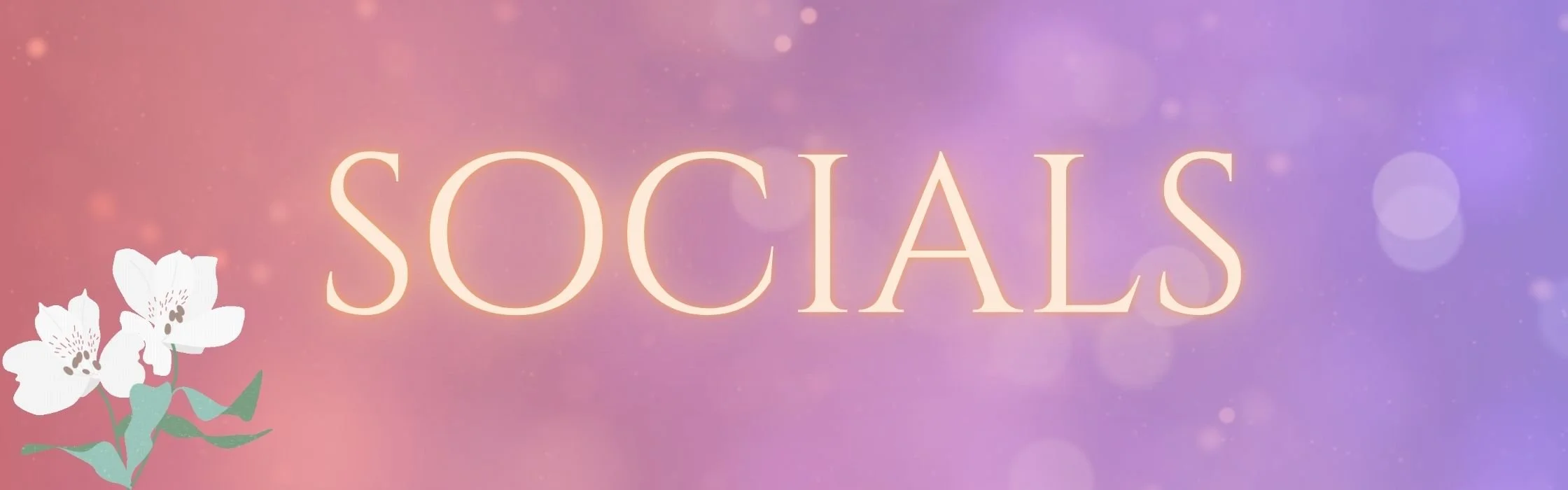 socials.jpg