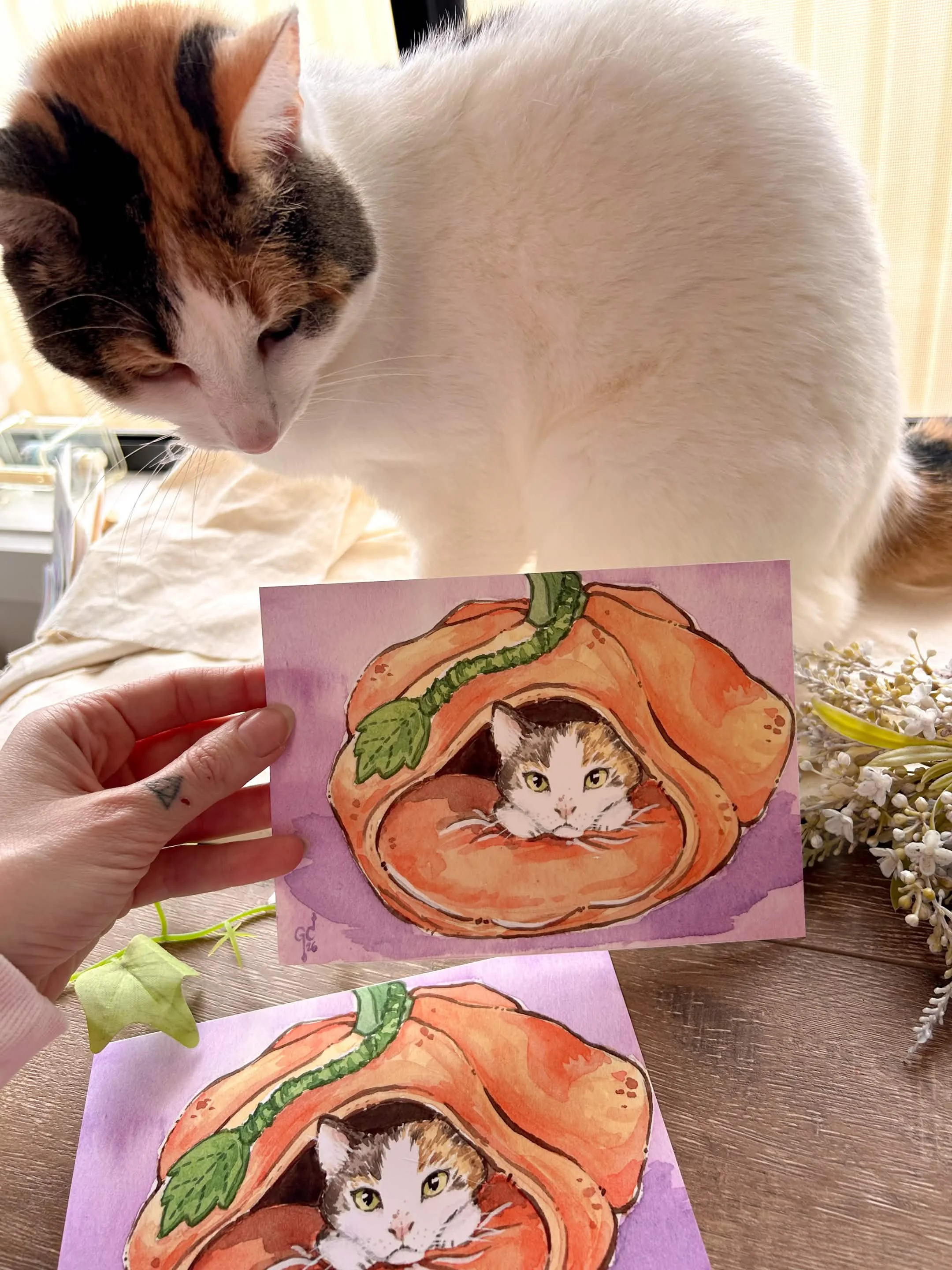 Pumpkin Cat 07.jpg