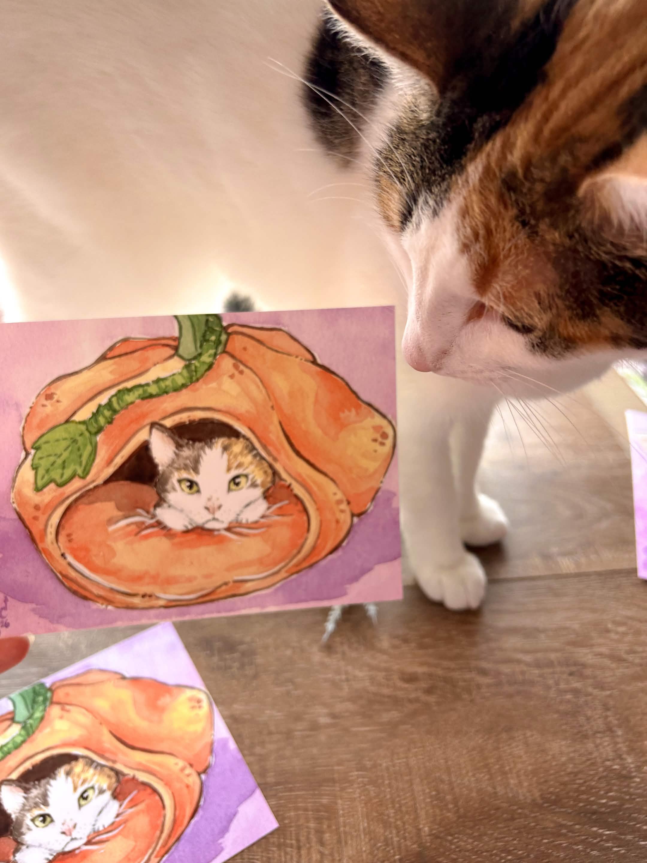 Pumpkin Cat 05.jpg