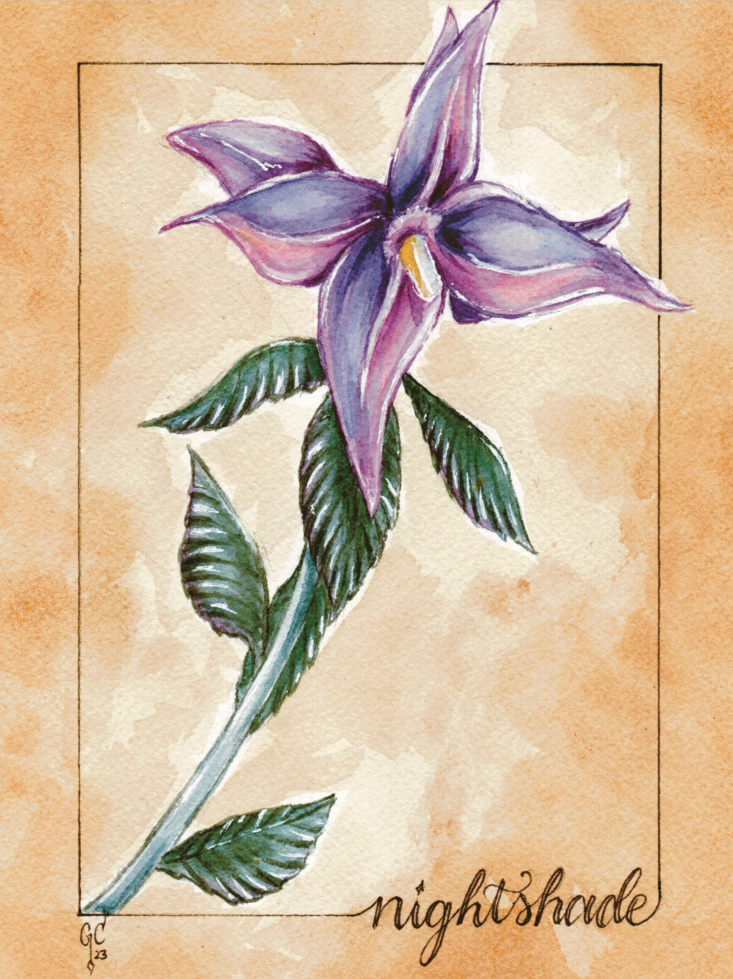 Skyrim - Nightshade.jpg