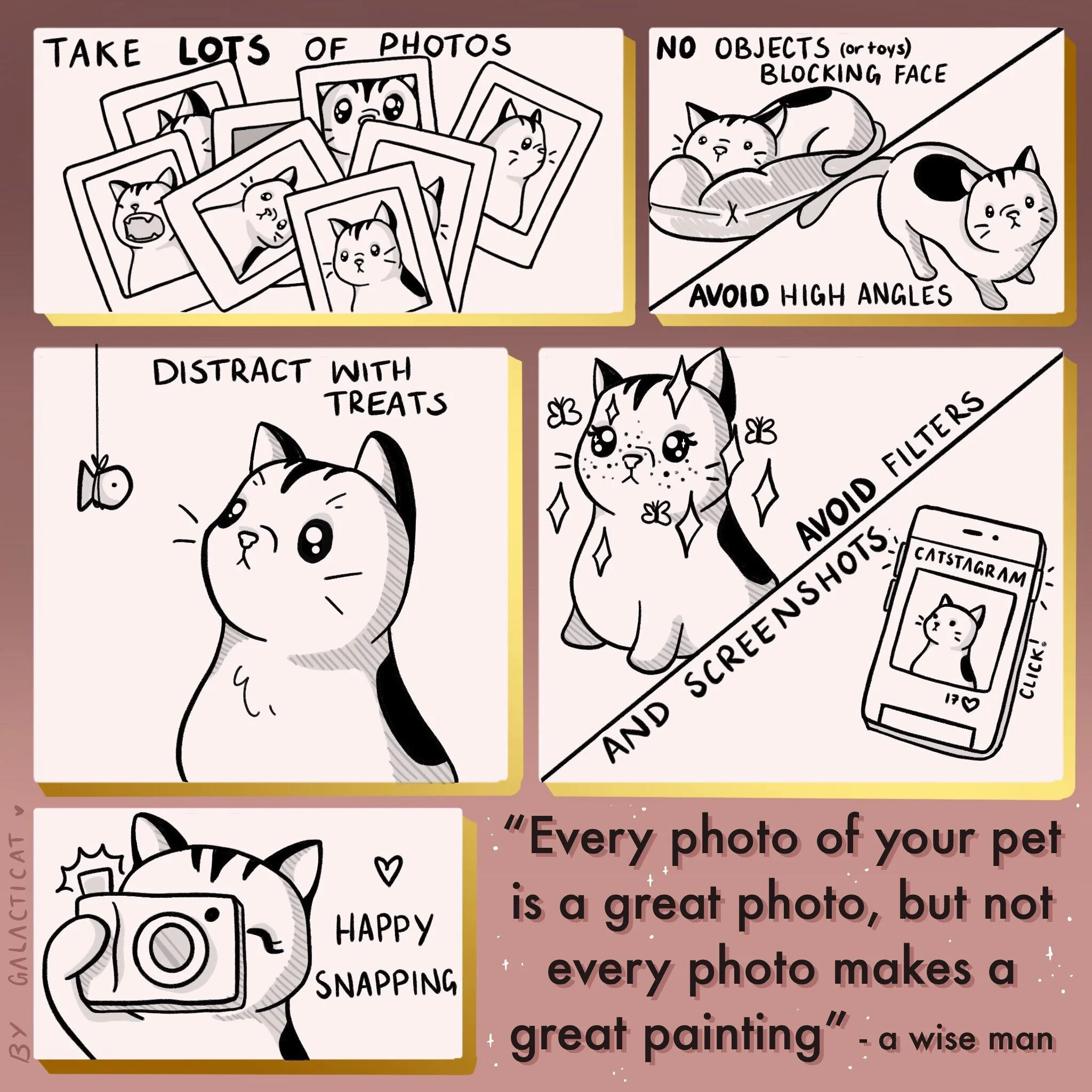 Pet Portrait Instructions 02.jpg
