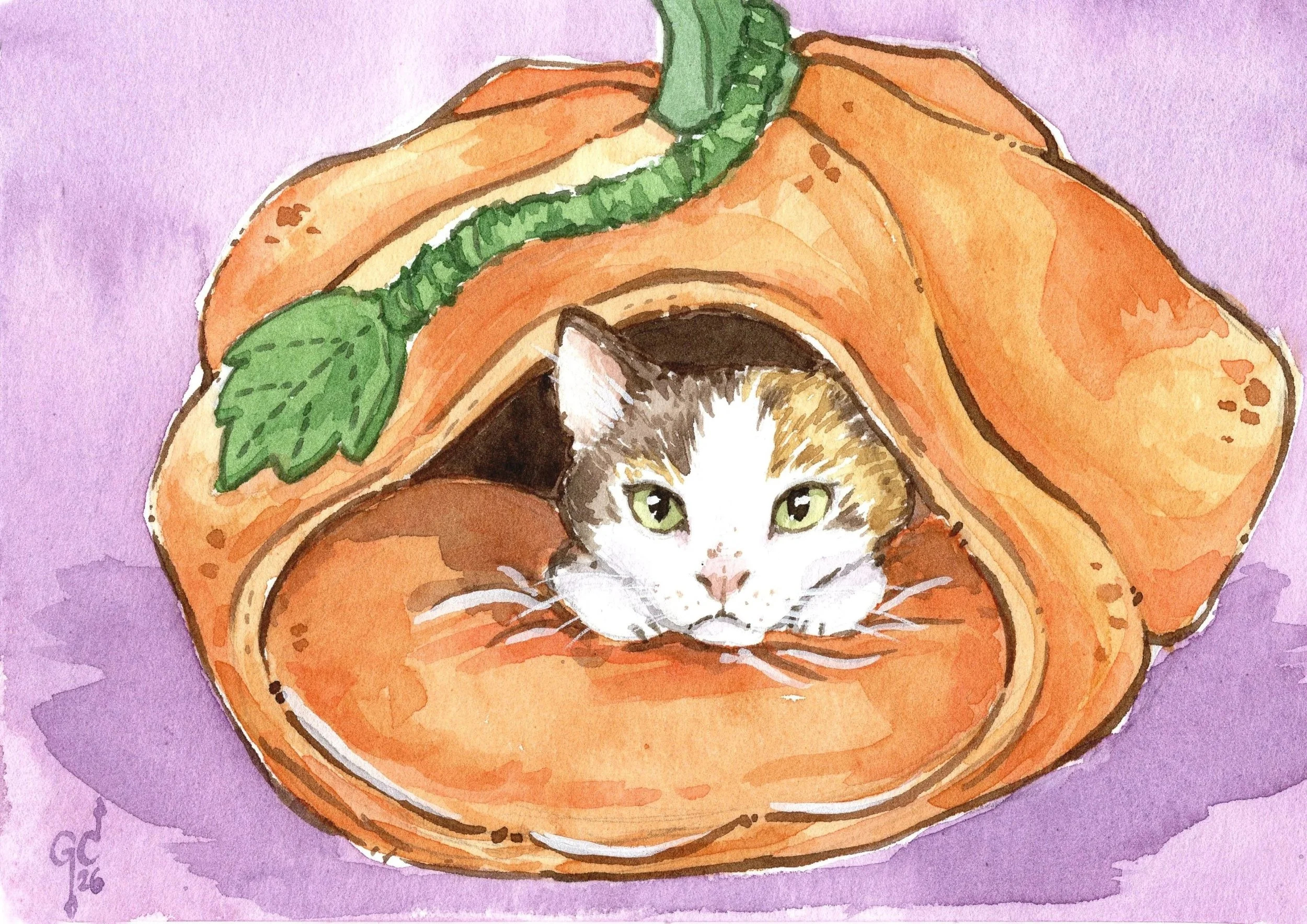 Pumpkin+Cat+01.jpg