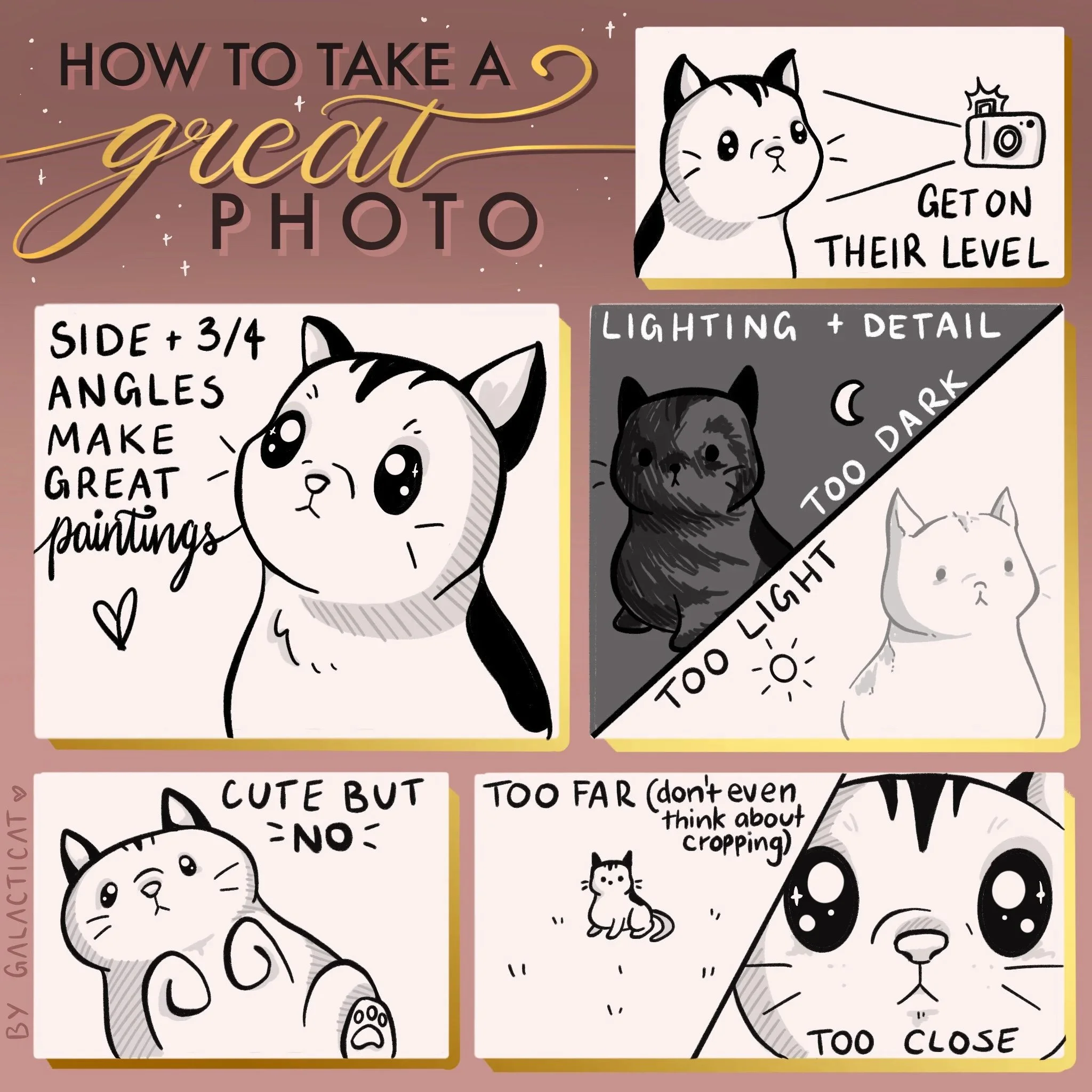Pet Portrait Instructions 01.jpg