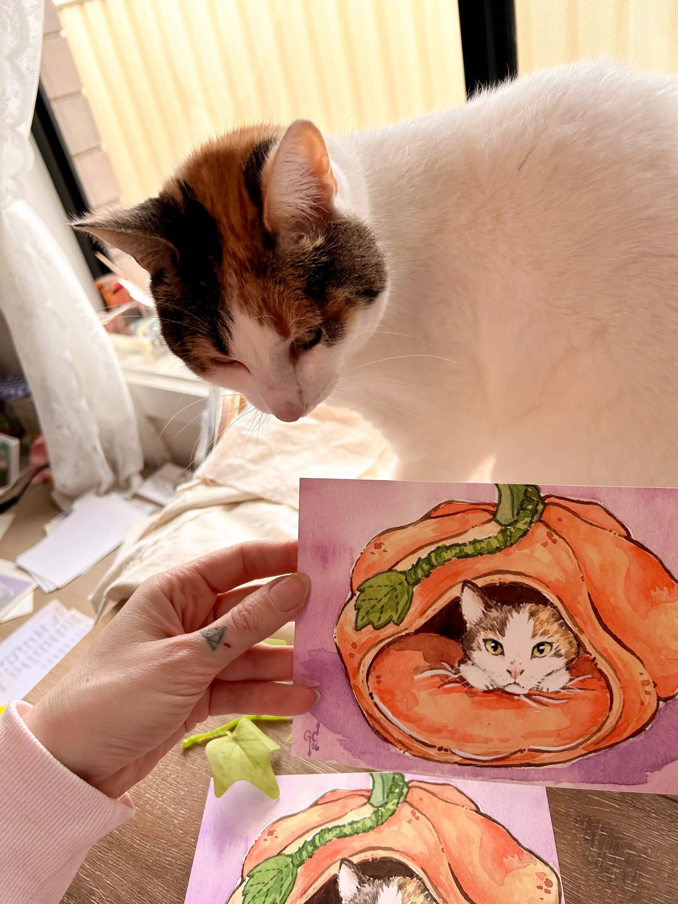 Pumpkin Cat 06.jpg