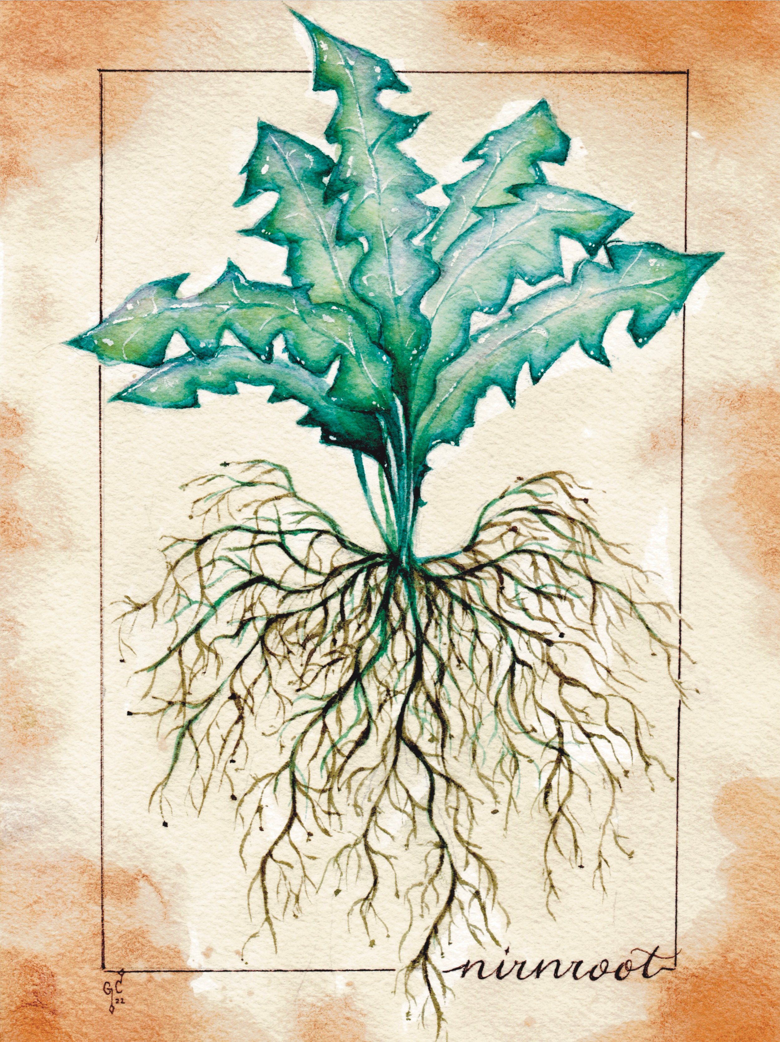 Skyrim - Nirnroot.jpg