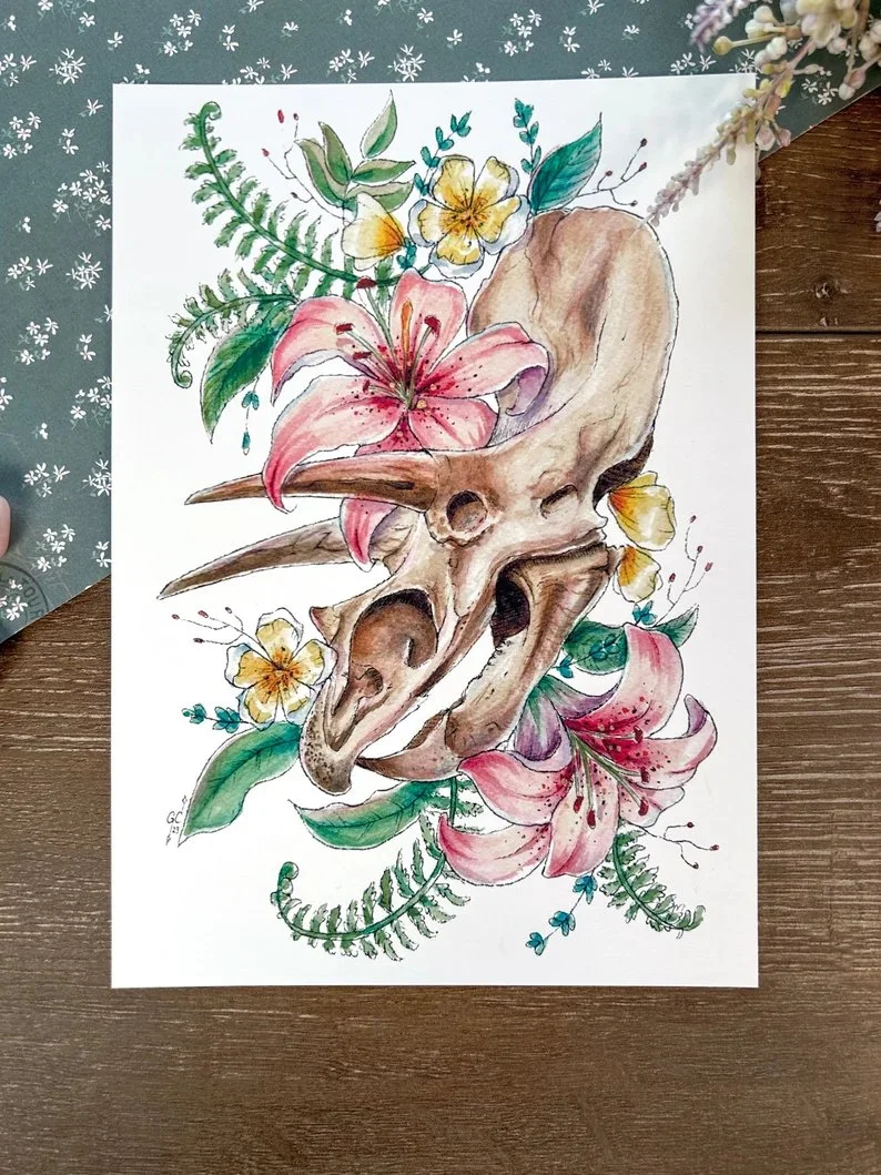 Triceratops Fossil.jpg