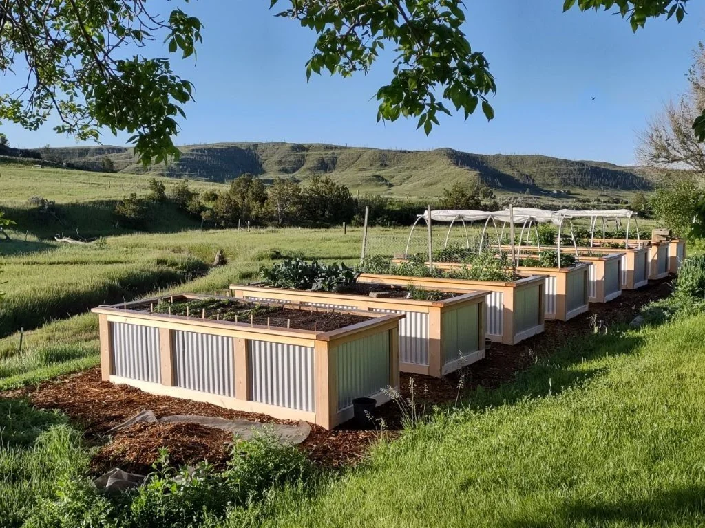 Iverson Raised Garden Beds.jpg