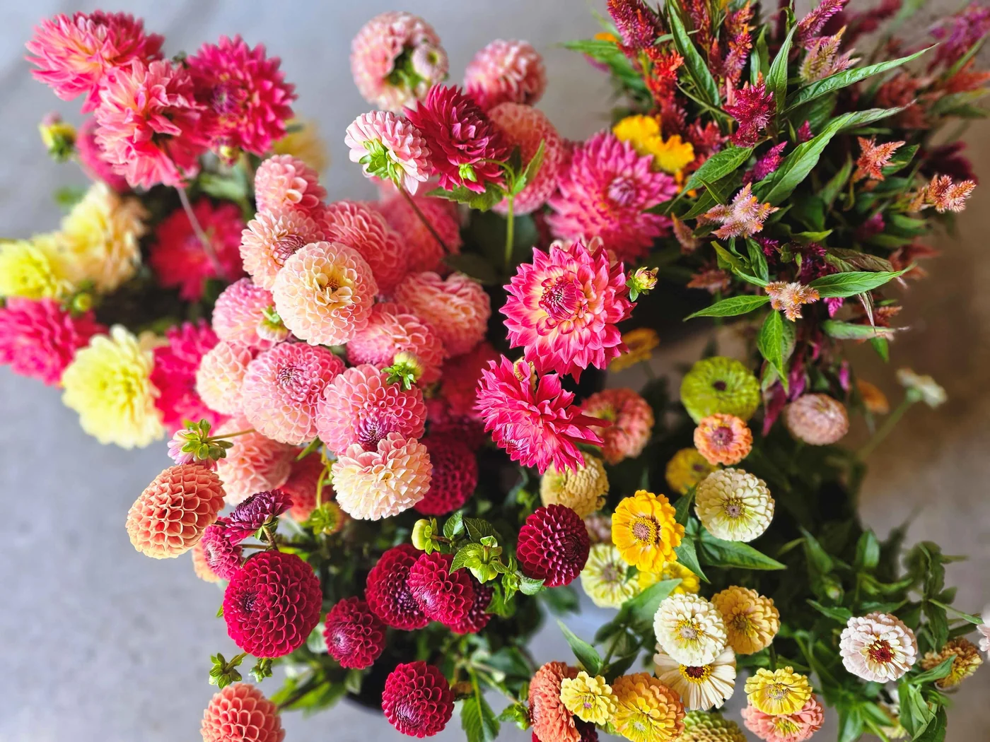Local Fresh Flowers