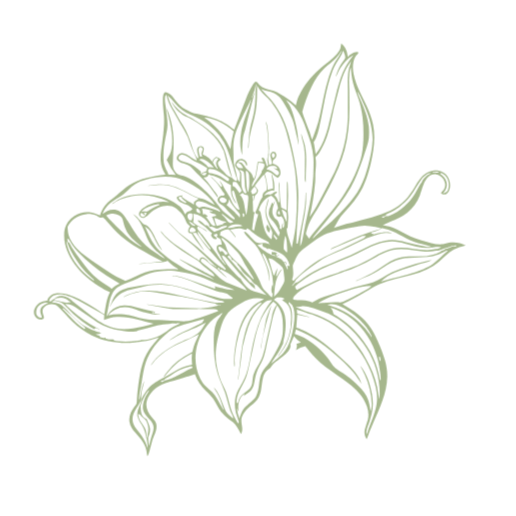 Line drawing of a lily flower with detailed petals and stamens.