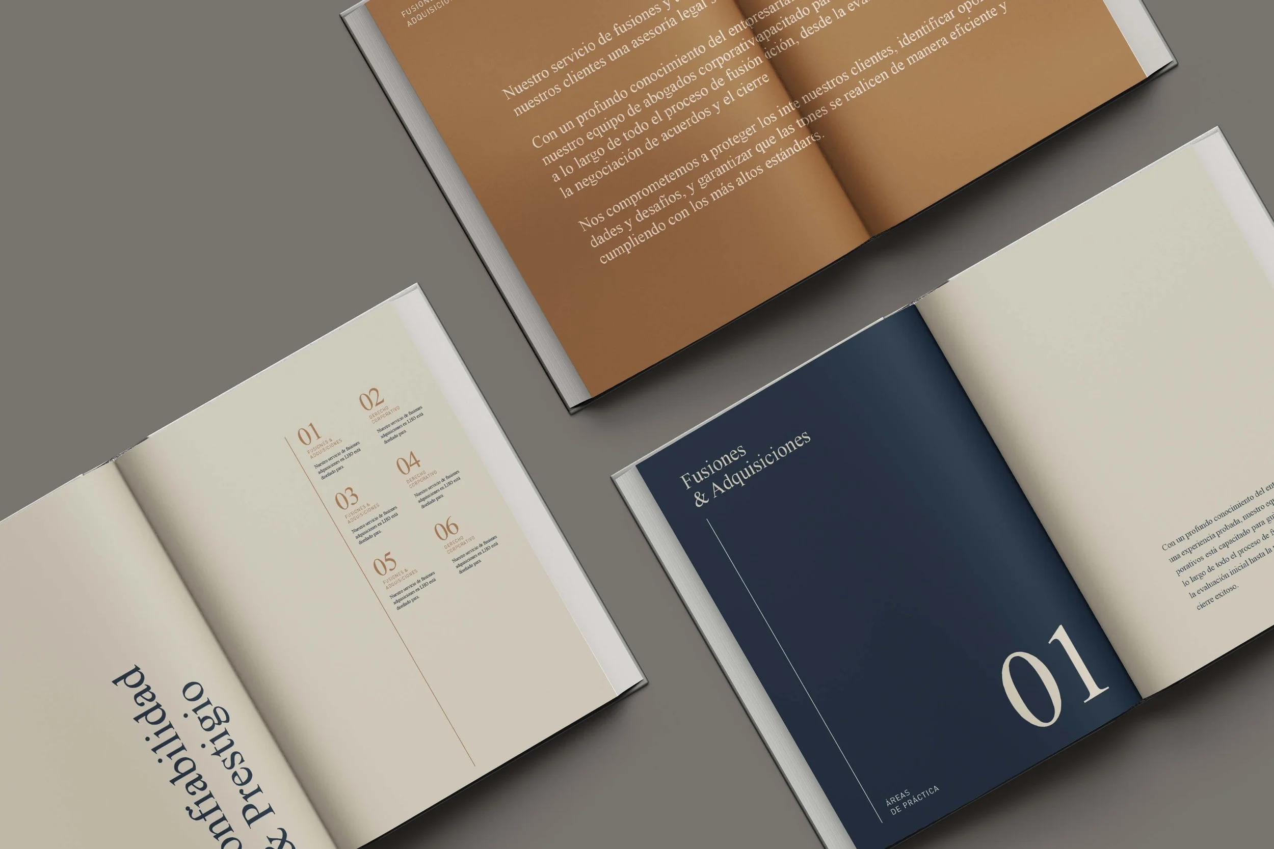 Law firm brochure editorial layout design, navy and tan pages