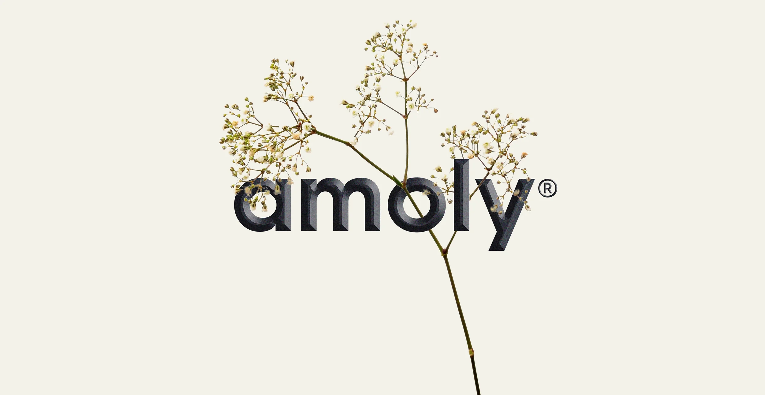 amoly-handmade-soap-skincare-branding-logotype.webp