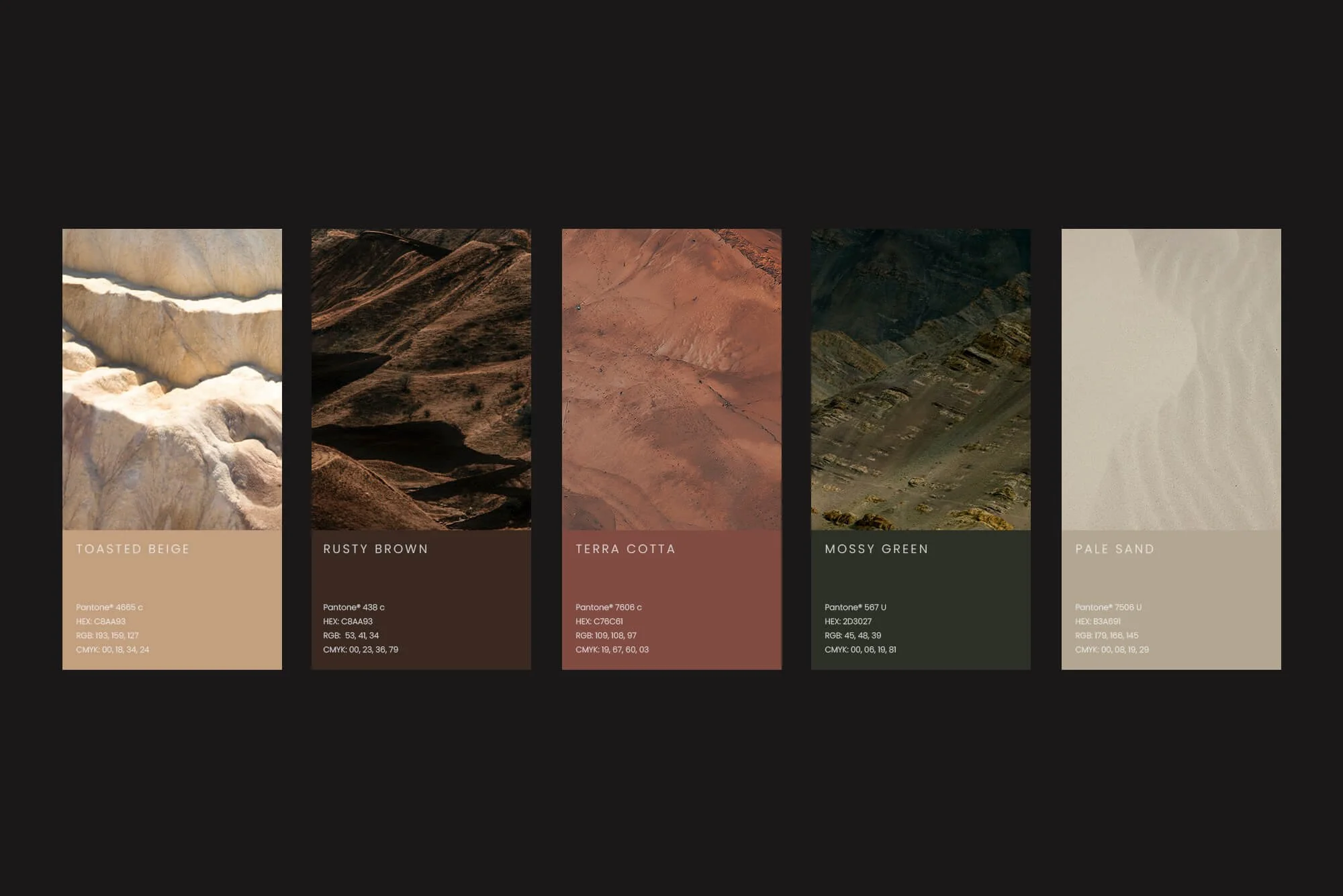 Color palette developed for a holistic wellness brand identity.