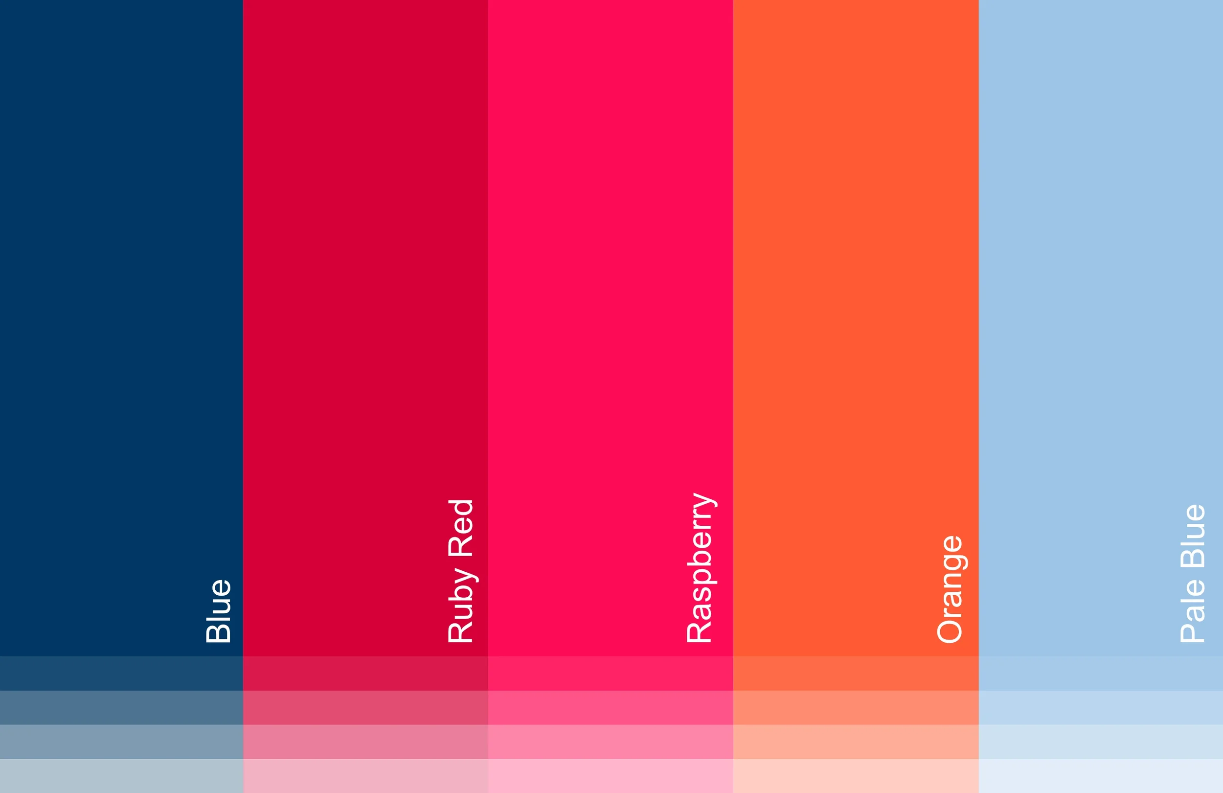 Corporate brand color palette developed for a business consulting visual identity.