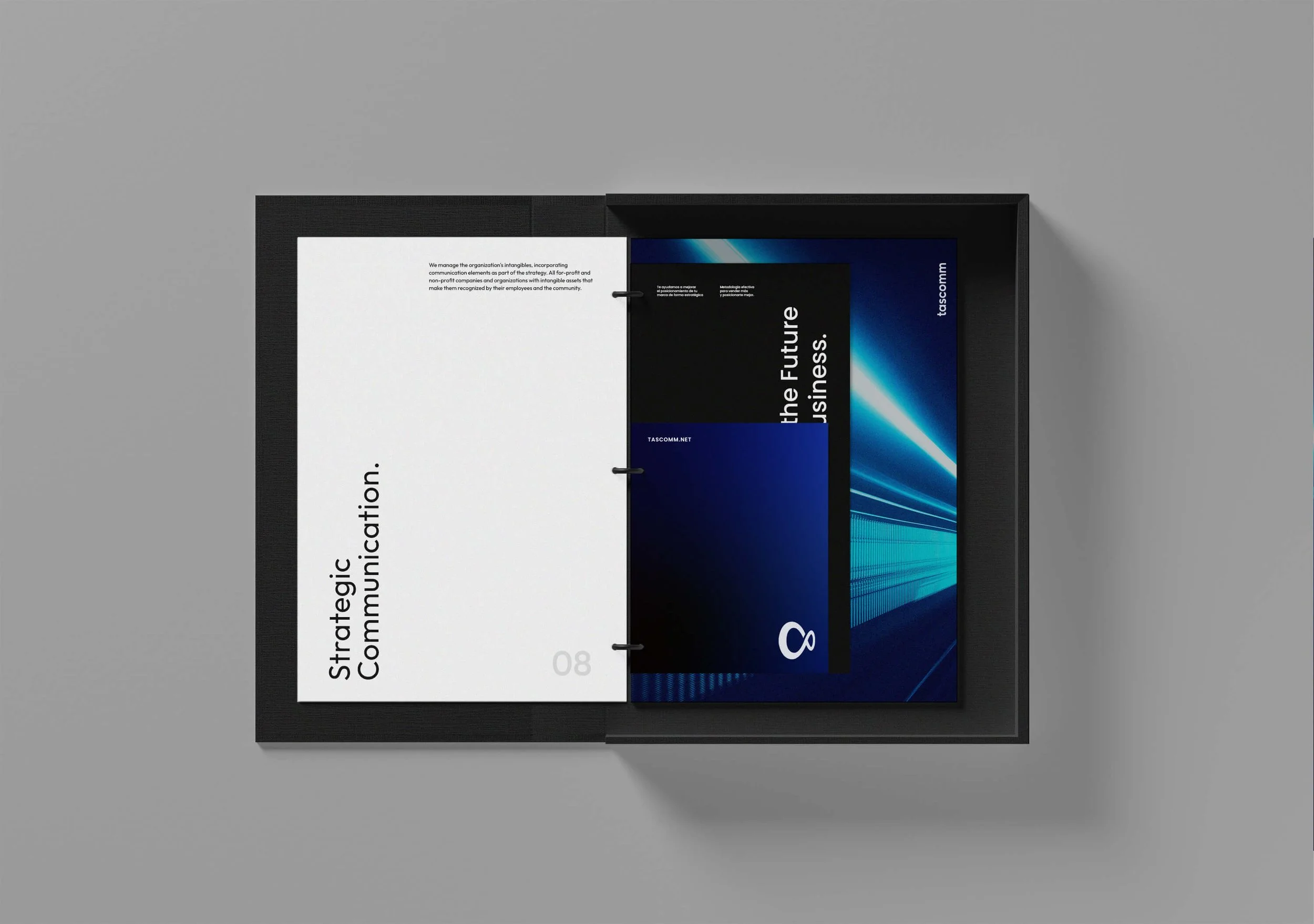 Brand identity guidelines book packaging design