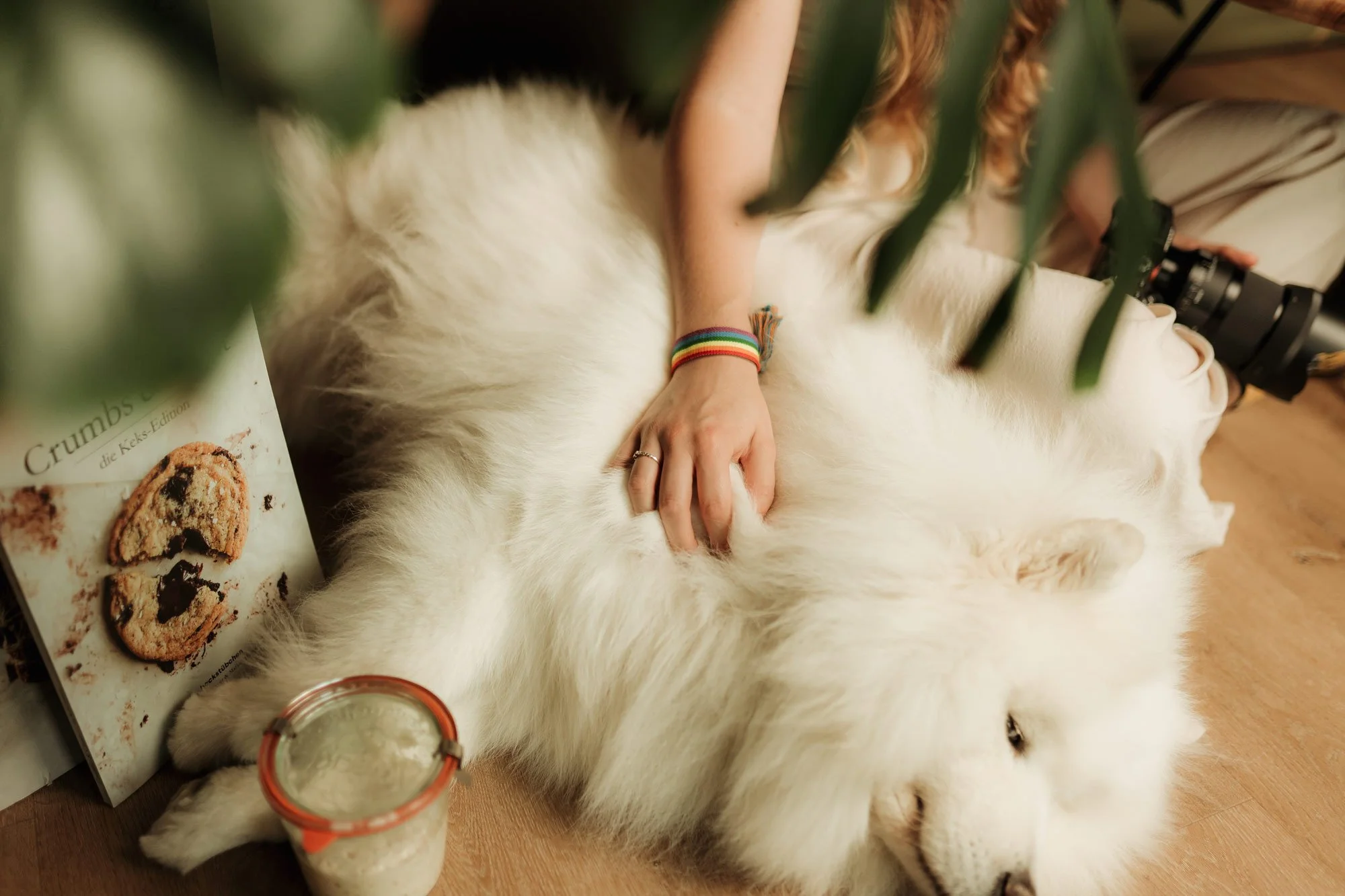 Person mit Regenbogenarmband streichelt einen weißen, flauschigen Hund auf dem Boden. Es ist eine ruhige Szene mit Pflanzen im Bild und man sieht auch eine Kamera, ein Backbuch und einen Sauerteigstarter.